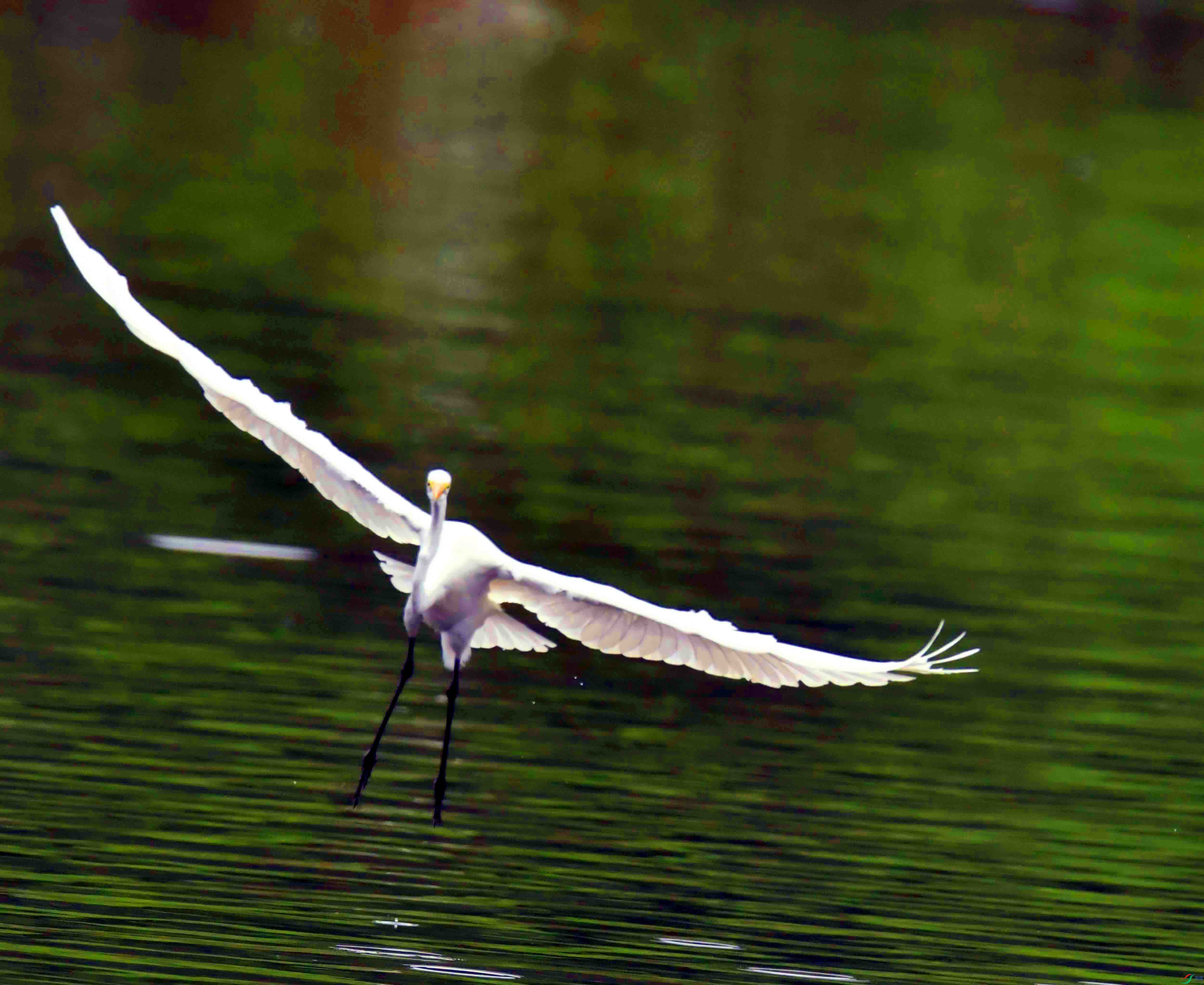 DSC_4859.JPG