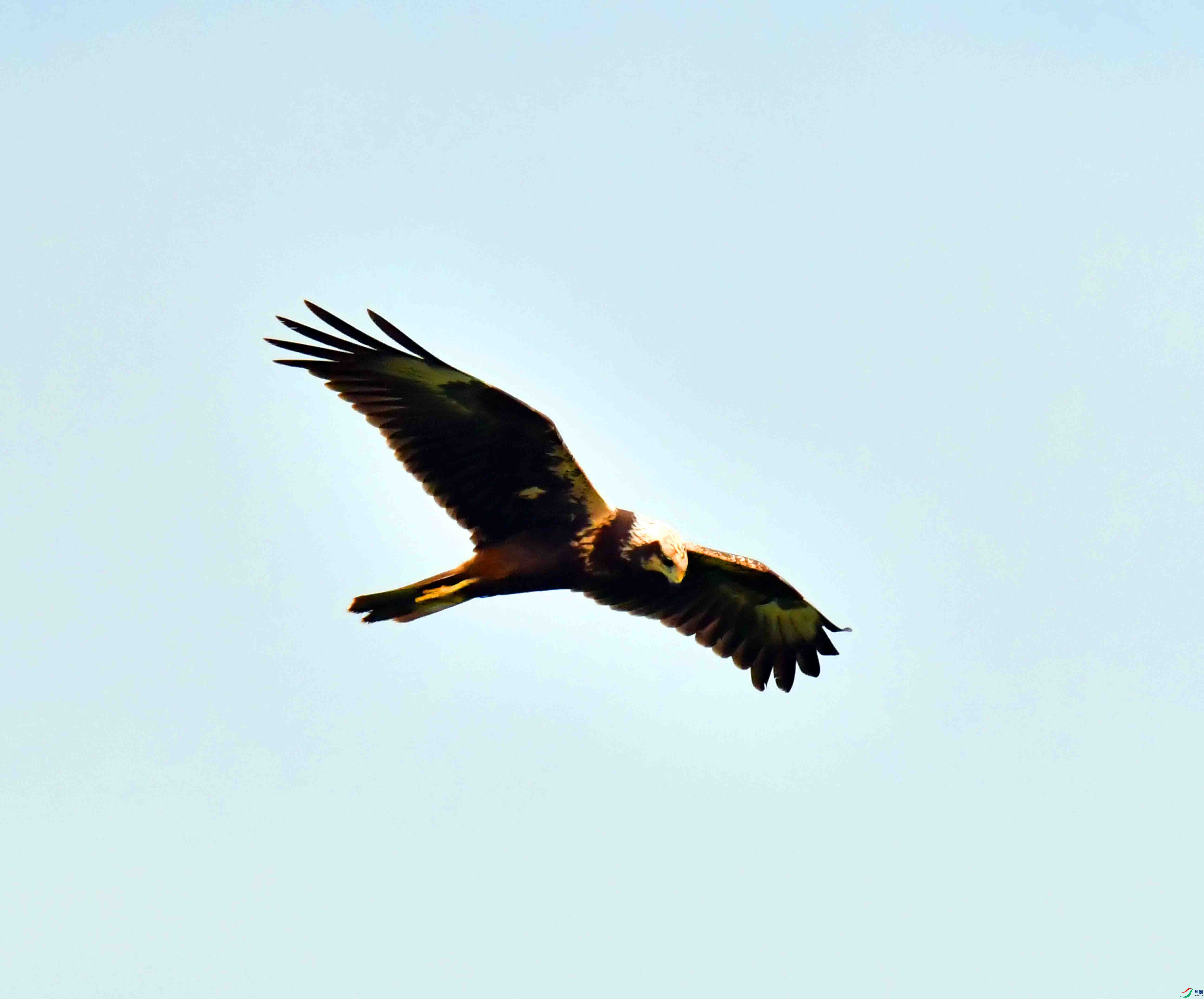 DSC_7645.JPG