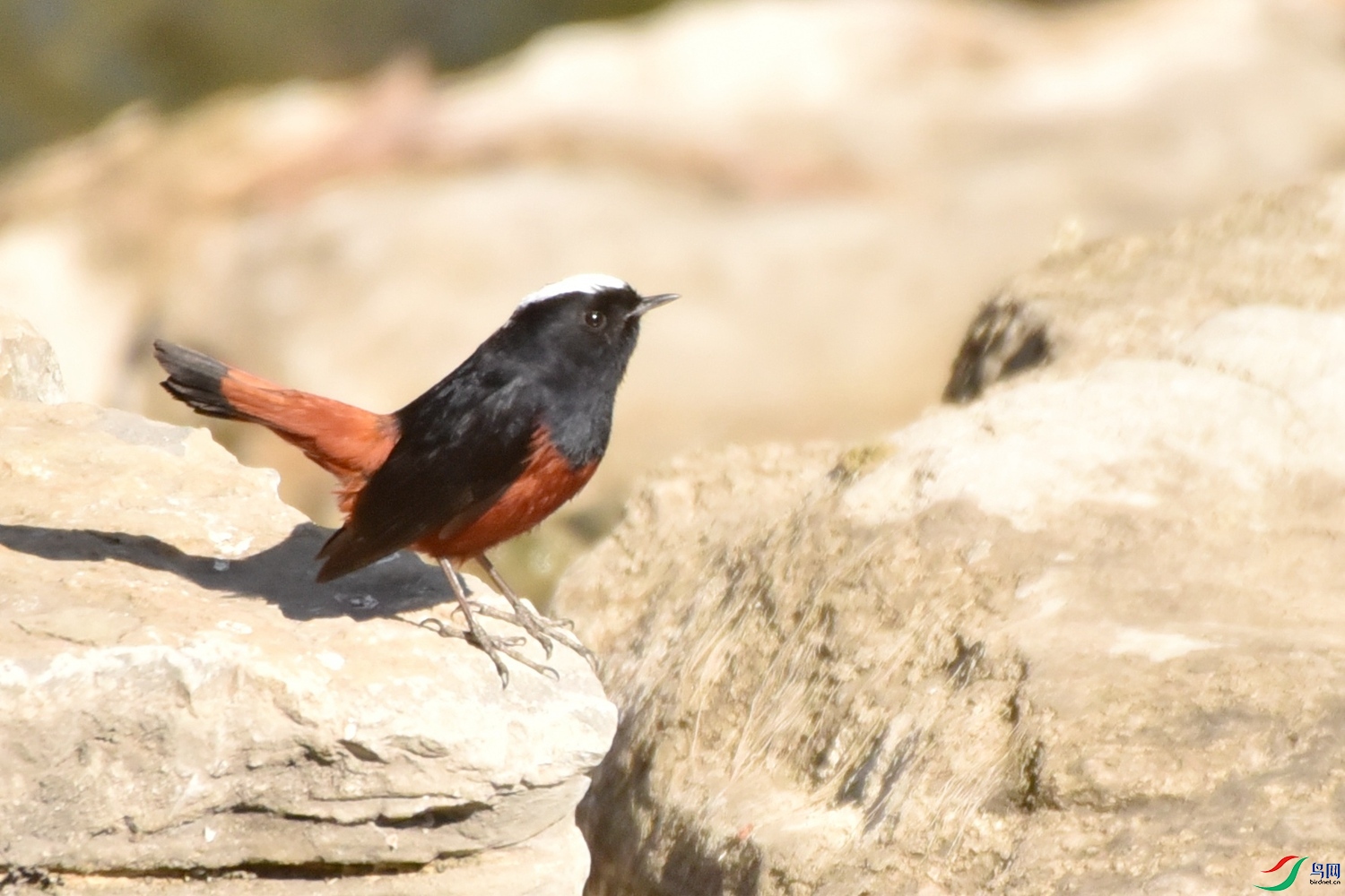 DSC_9680.JPG