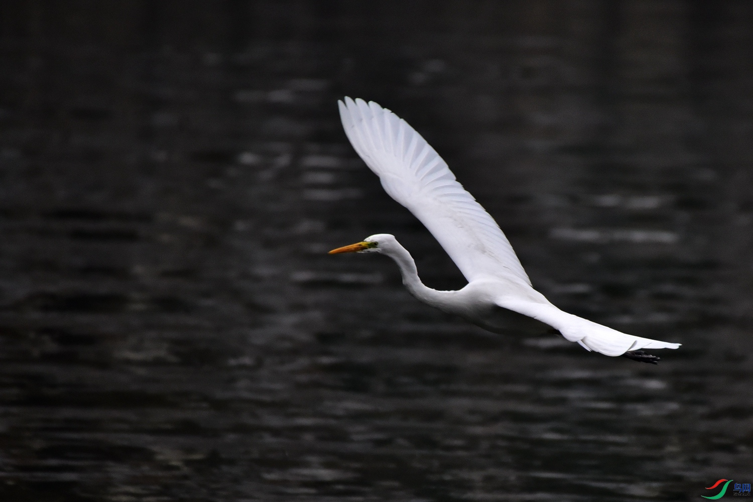 DSC_7164.JPG