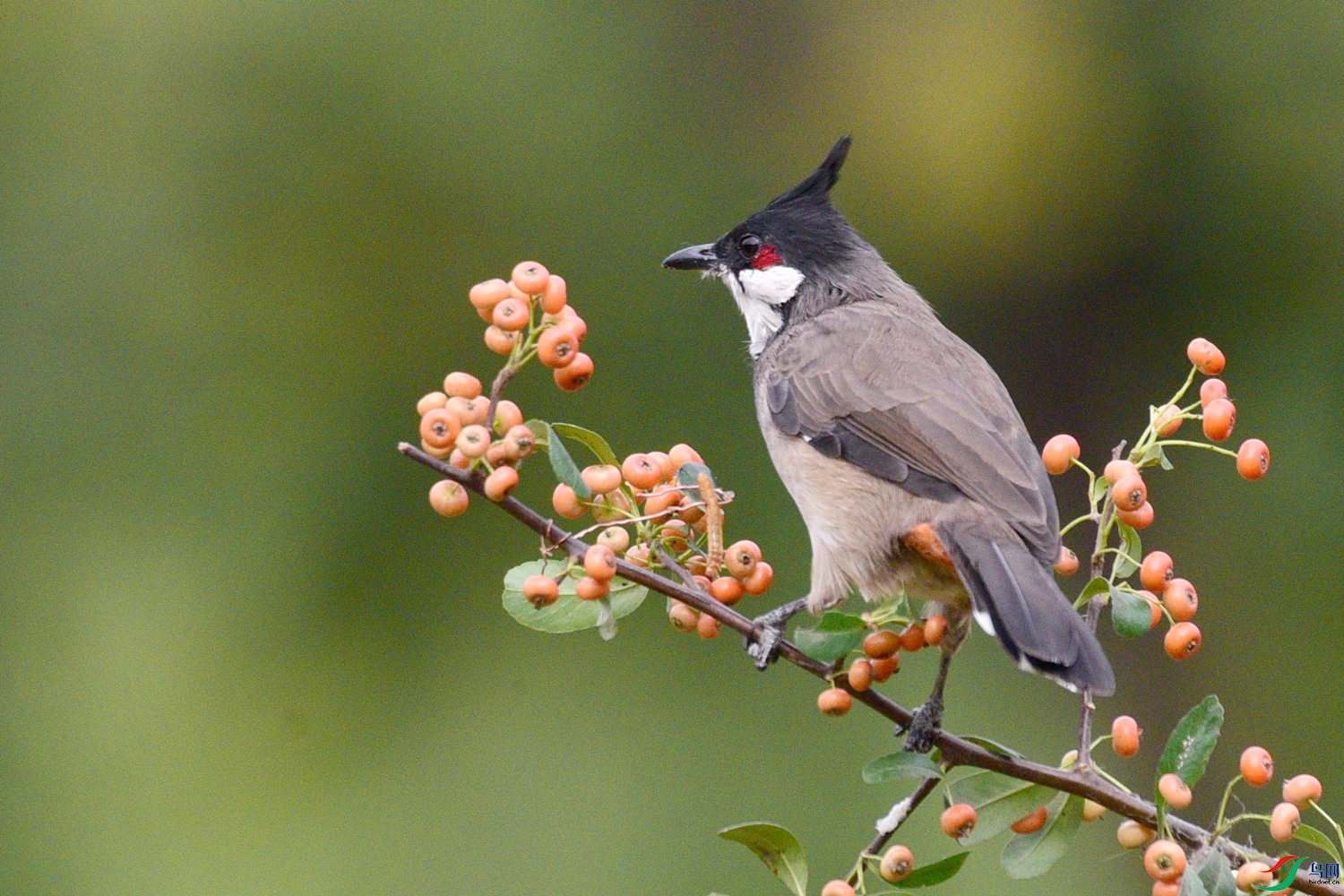 DSC_3705.JPG