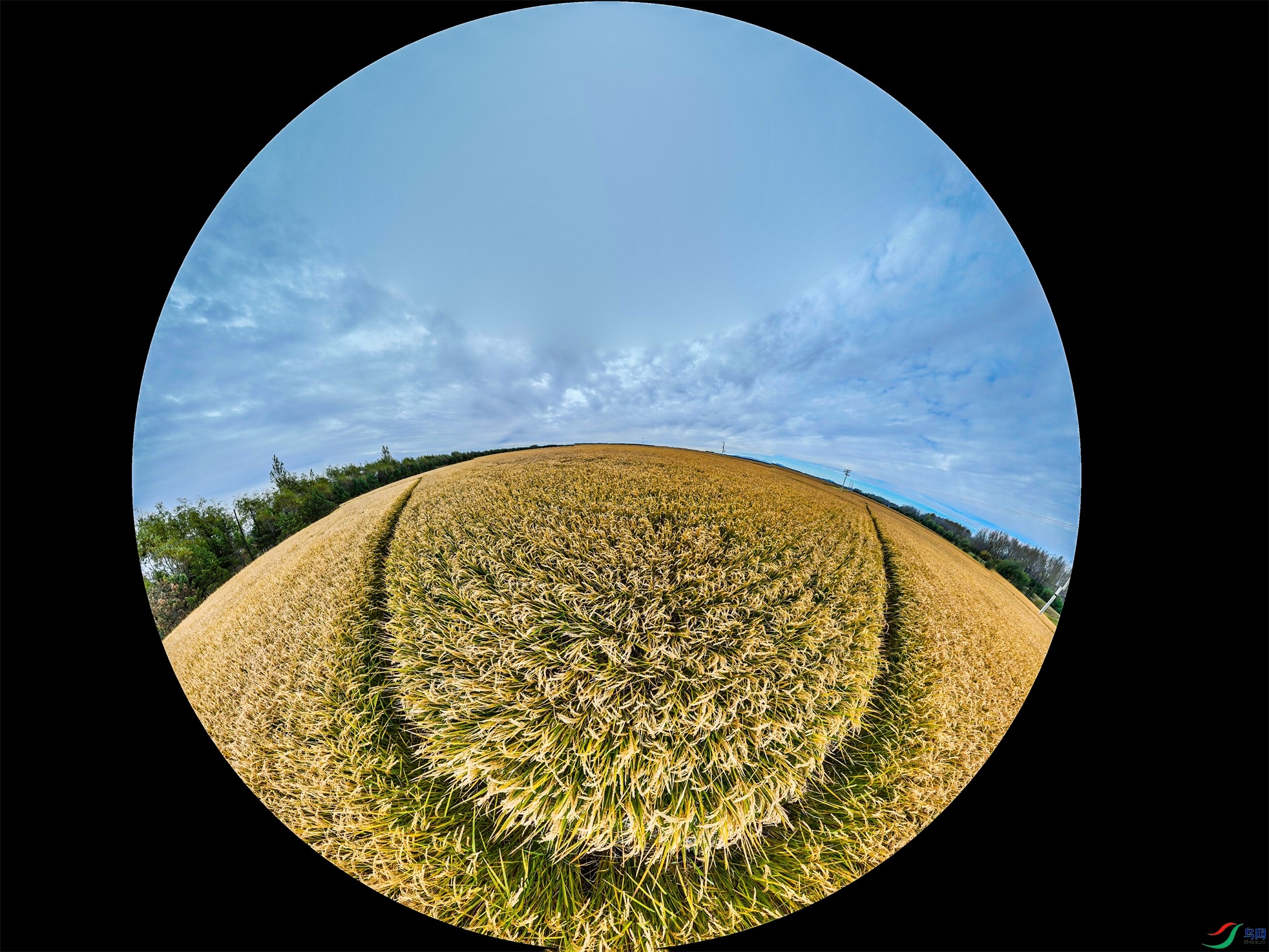 dji_export_20241001_185426_1727780066060_sphere_screenshot ����1.jpg