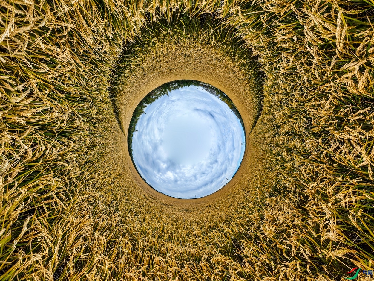 dji_export_20241001_185414_1727780054711_sphere_screenshot ����1.jpg