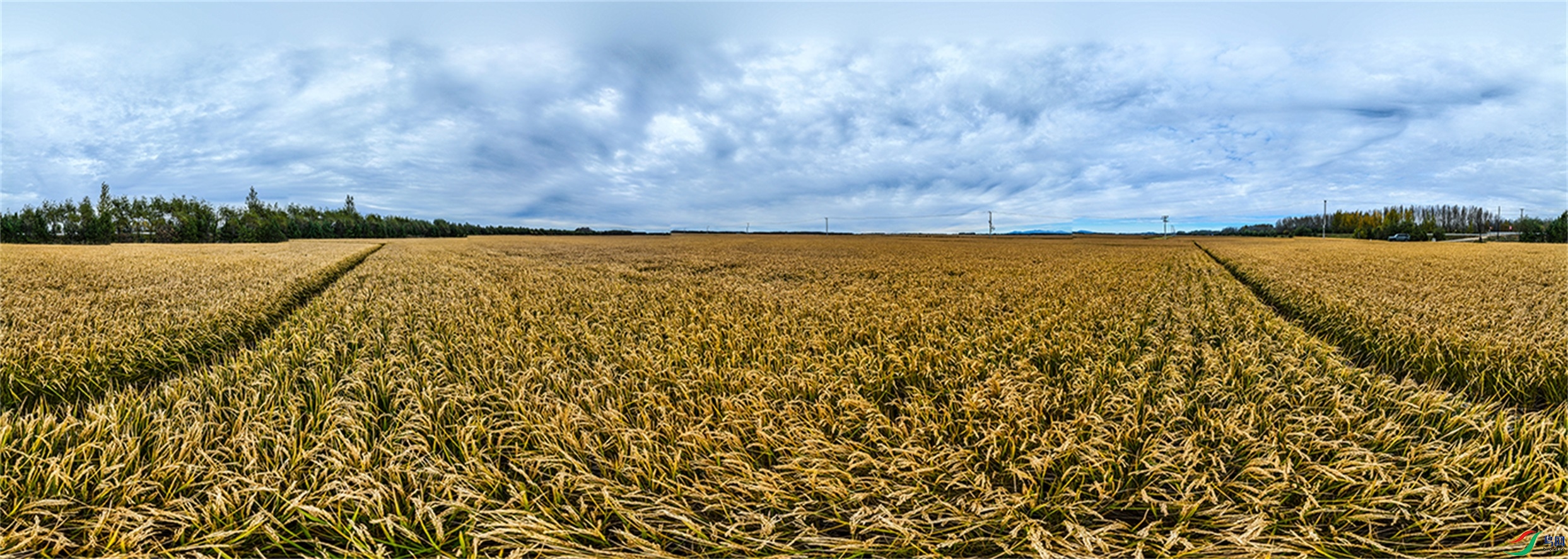 dji_fly_20241001_102010_276_1727780069726_pano ����2.jpg