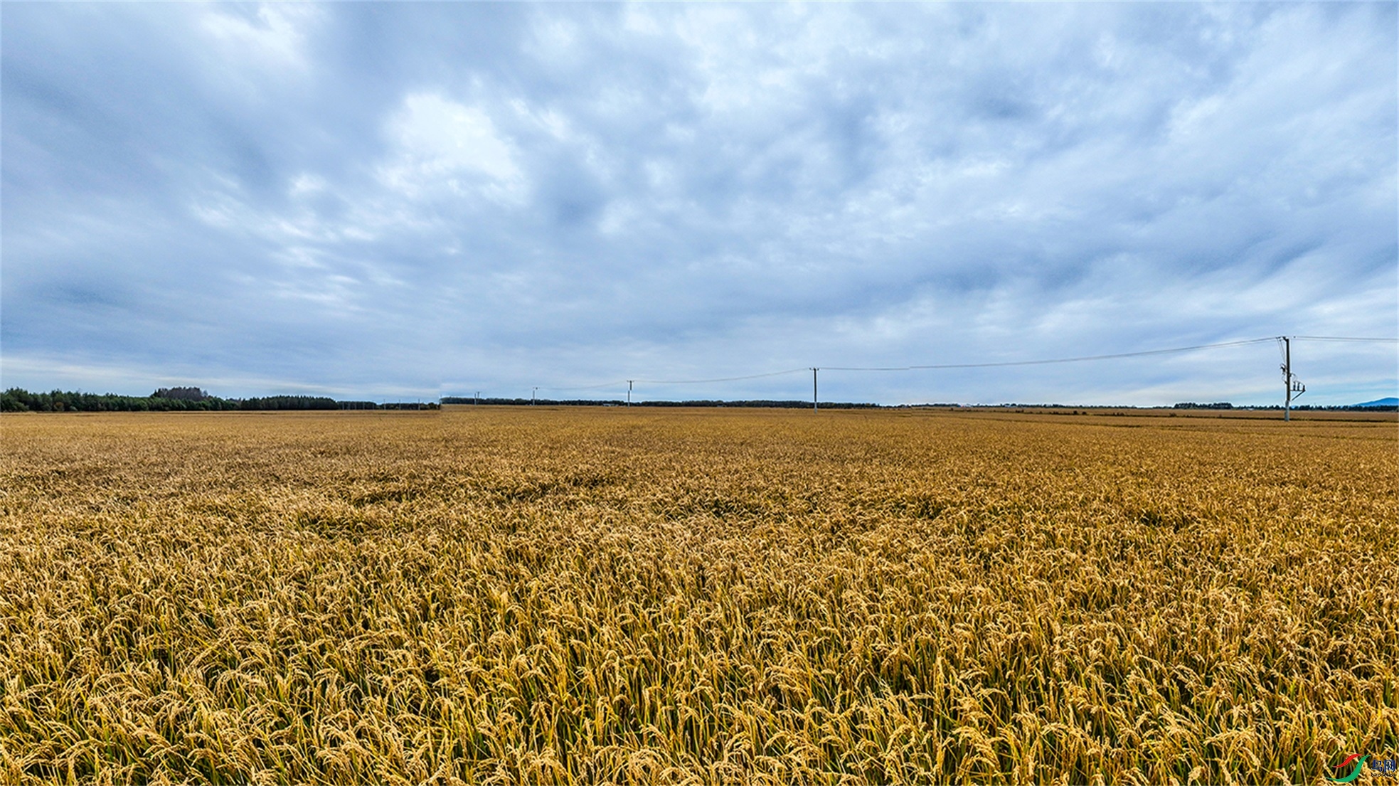 dji_export_20241001_185355_1727780035043_sphere_screenshot ����2.jpg