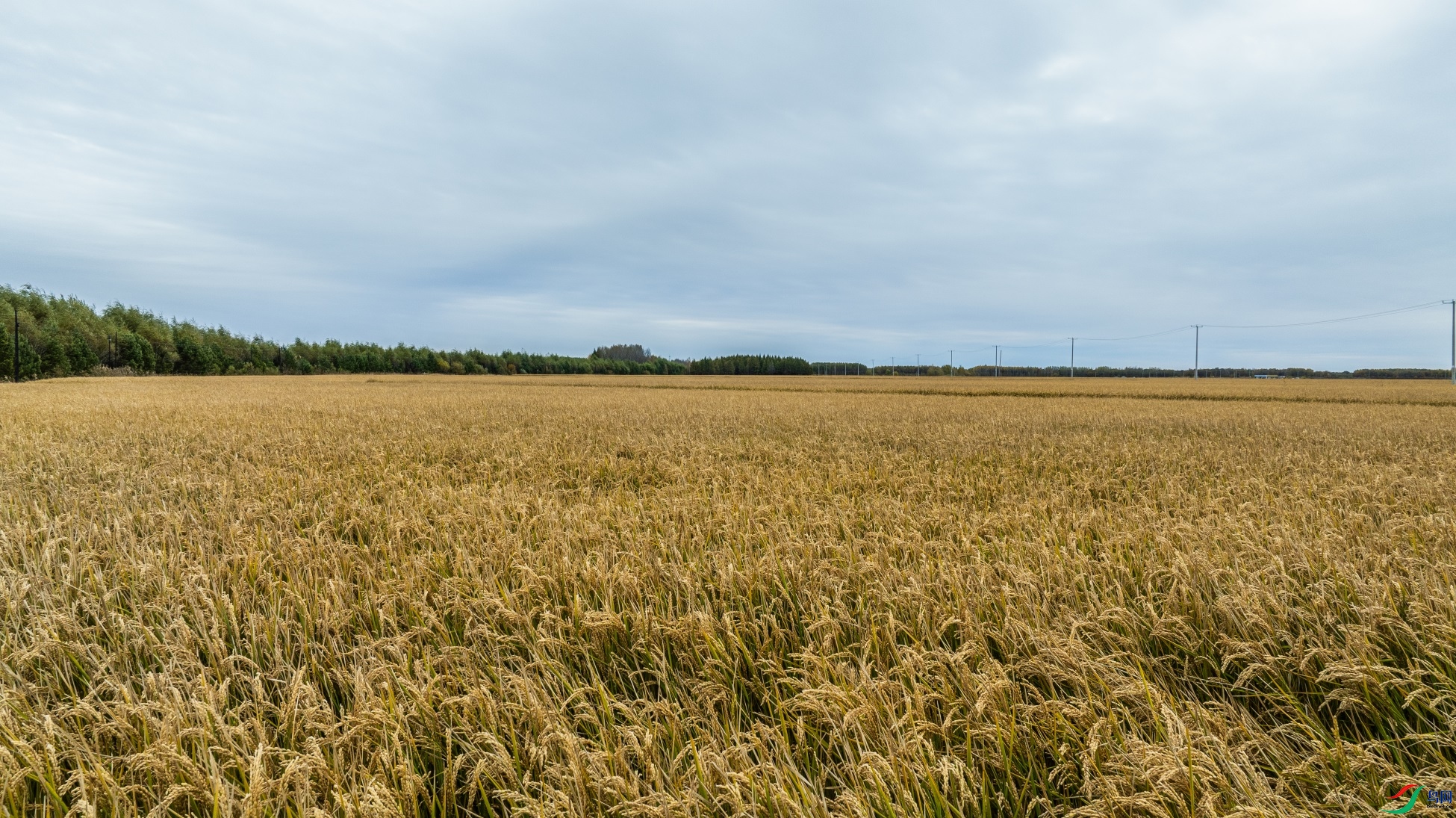 dji_fly_20241001_101606_273_1727779985347_photo ����1.jpg