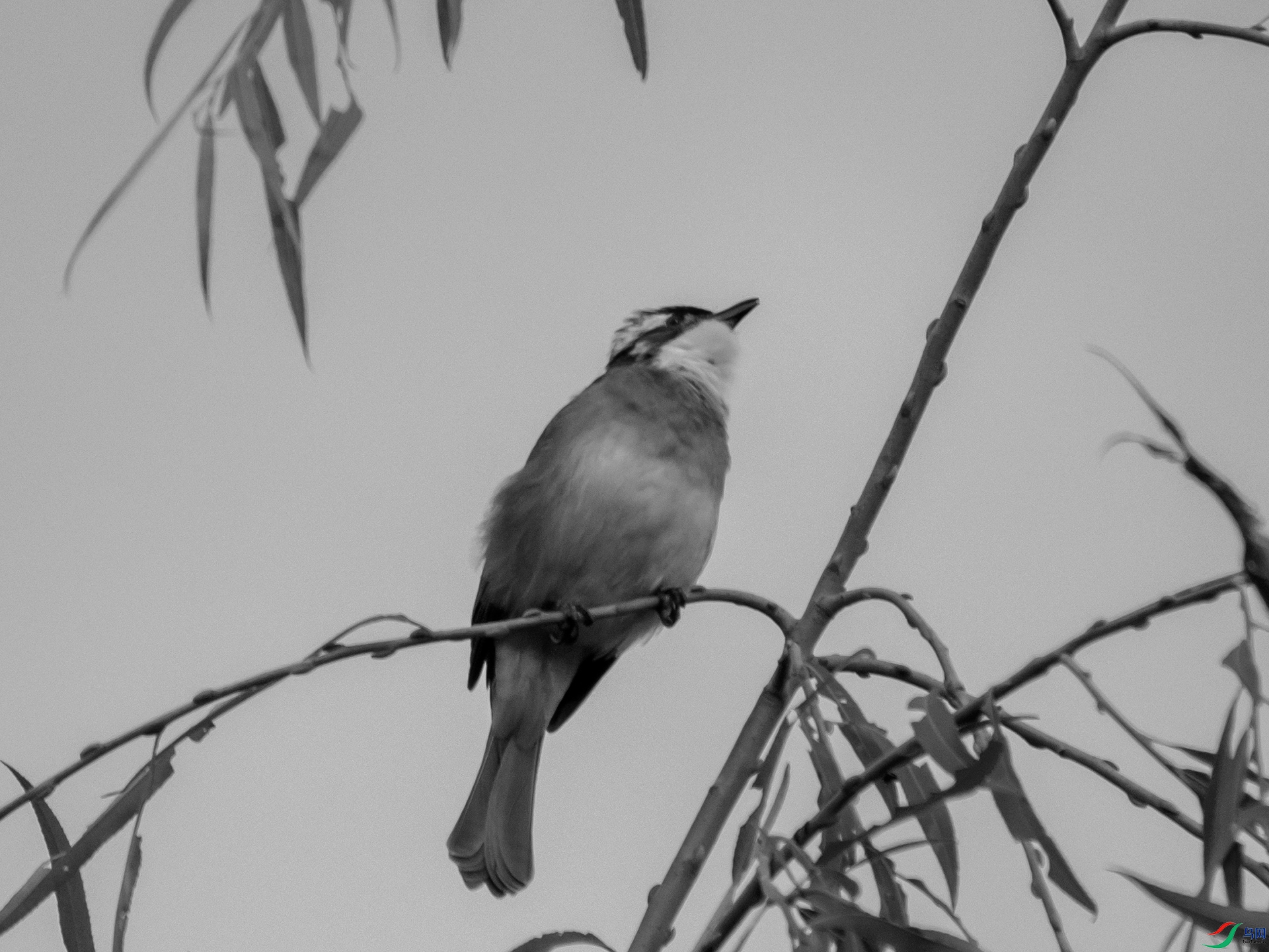 PA100146.jpg