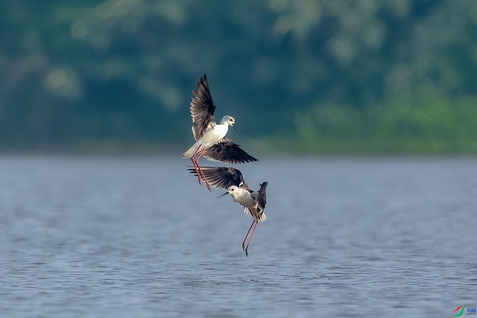 BE5I5305-����ǿ-NR ����.jpg