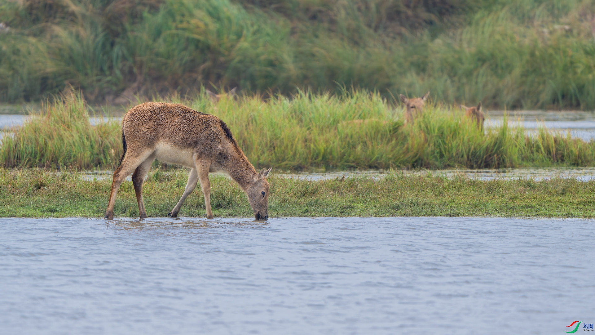 _DSC4836-����ǿ-NR ����_1.jpg