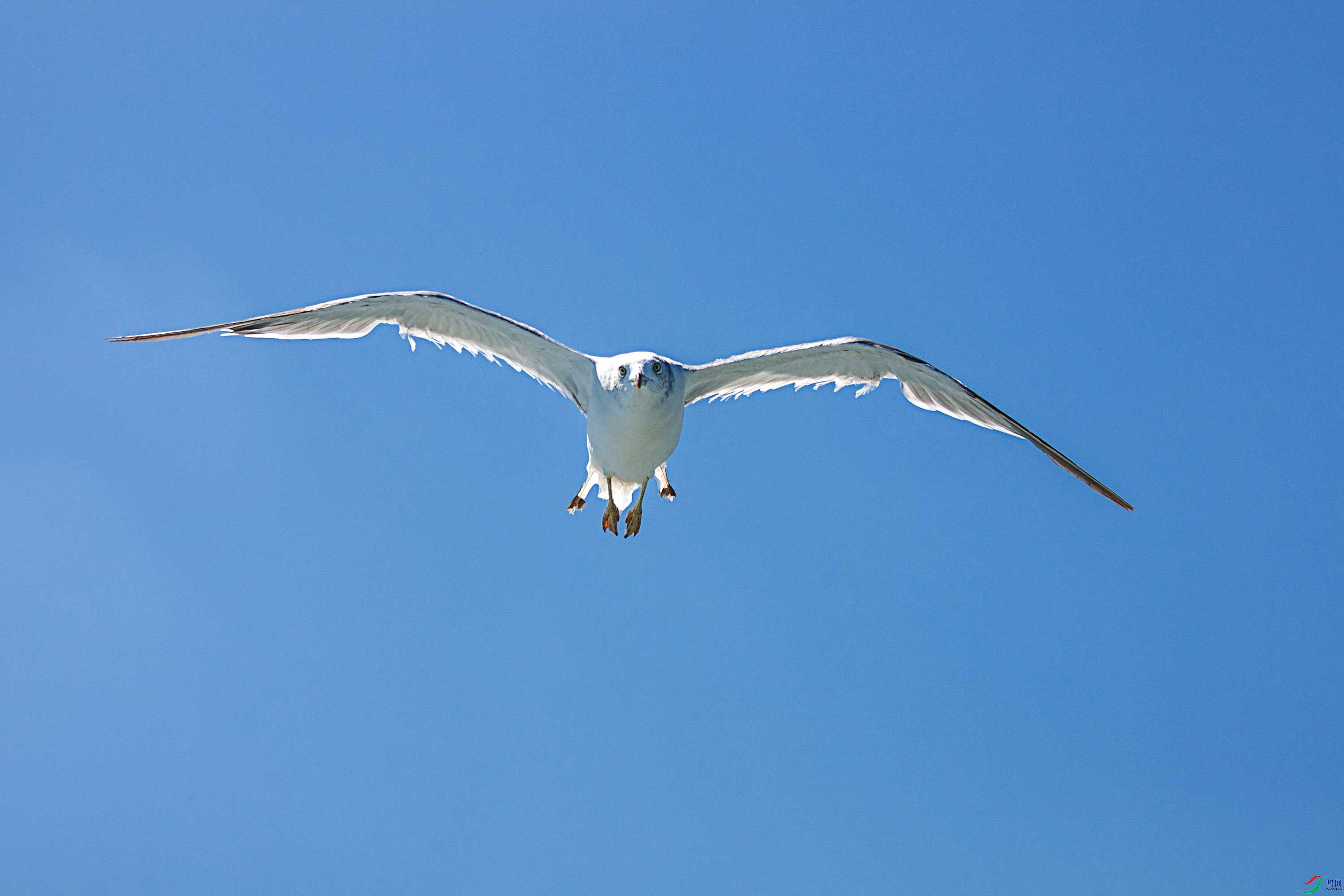 IMG_5783.jpg