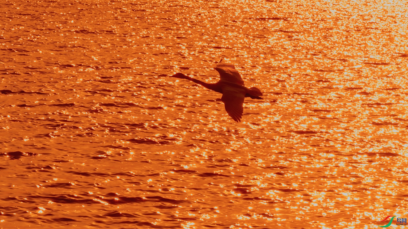 DSC_3642_DxOa.jpg