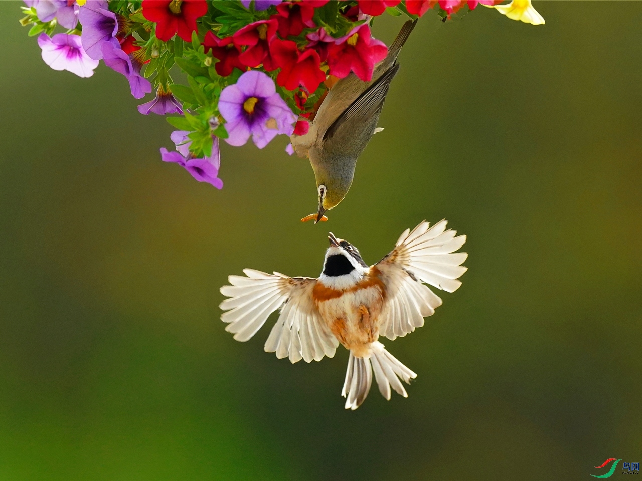 DSC09413 (2)_����.jpg