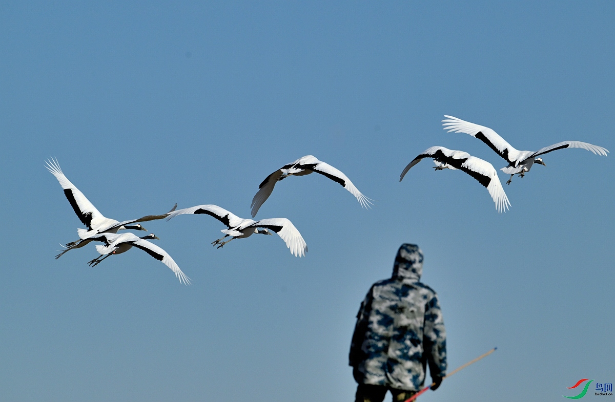 DSC_3056.jpg