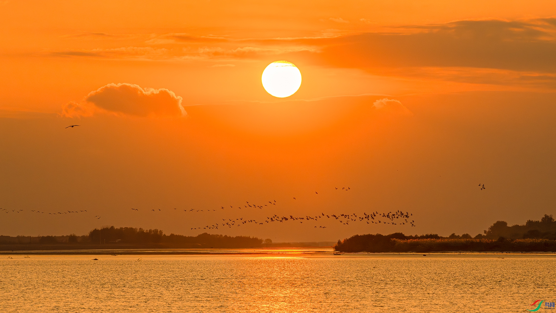 �ƺ�����