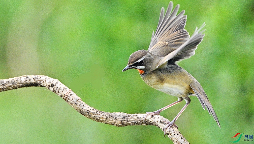 DSC_6083.JPG