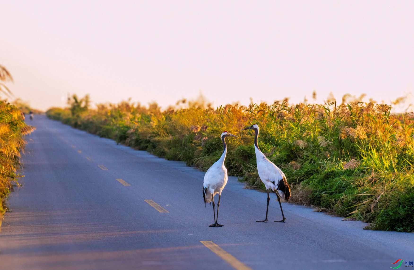 DSC_0602 ���� 2.jpg