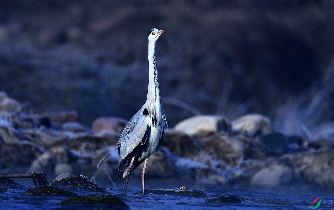 DSC_9397.jpg