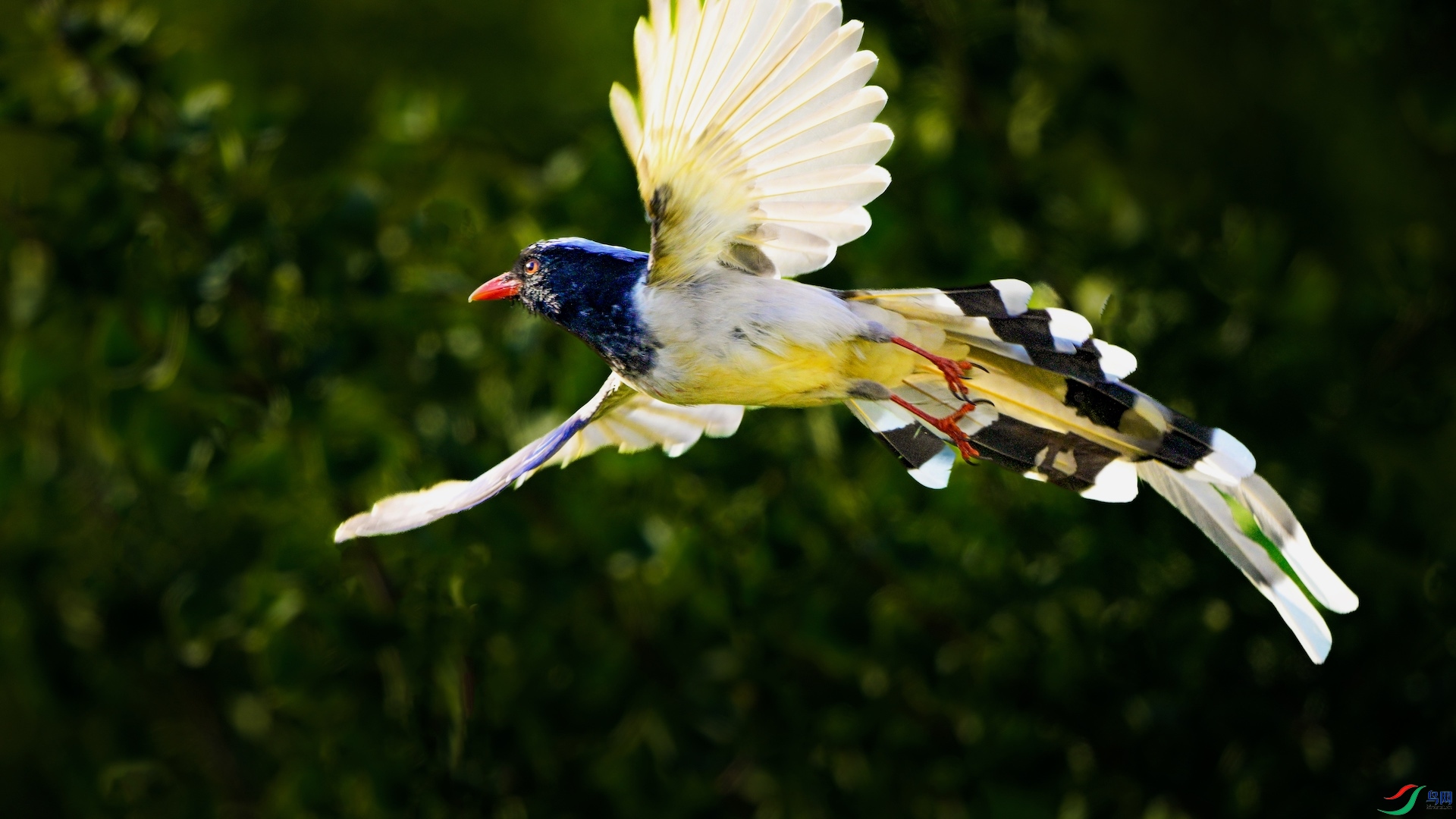 1_XXL5940-1-1 2.jpeg