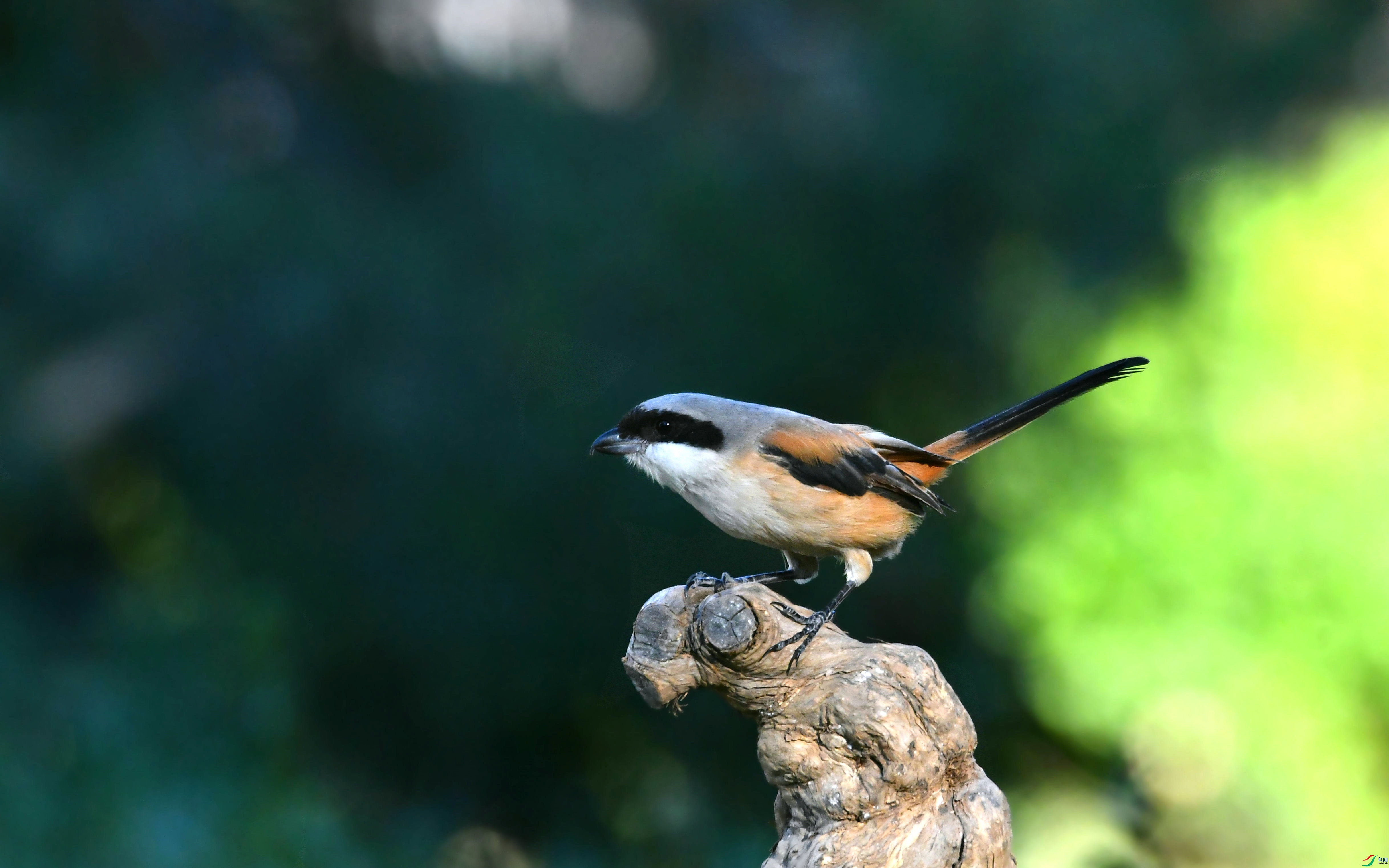 DSC_6143.JPG