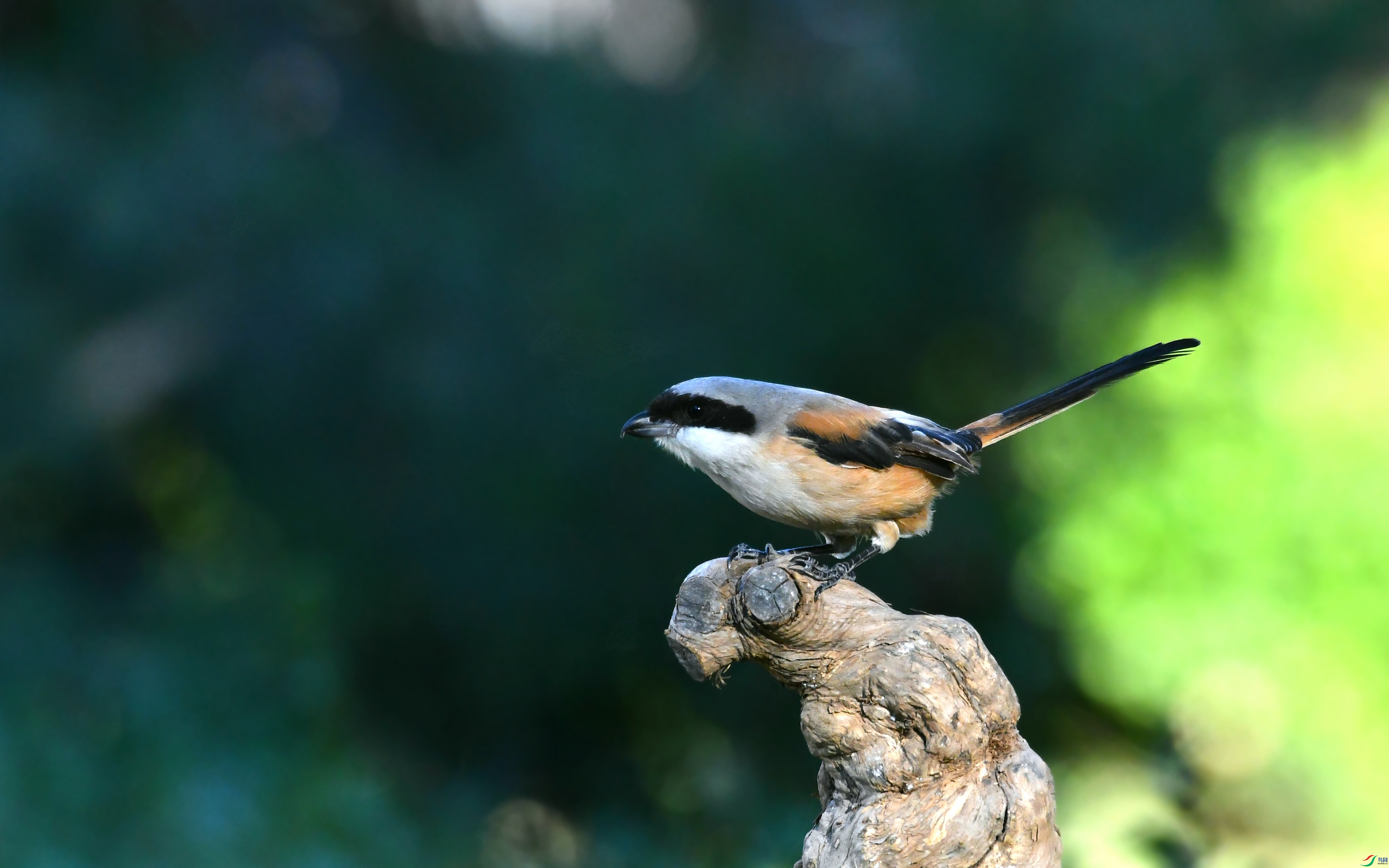 DSC_6147.JPG