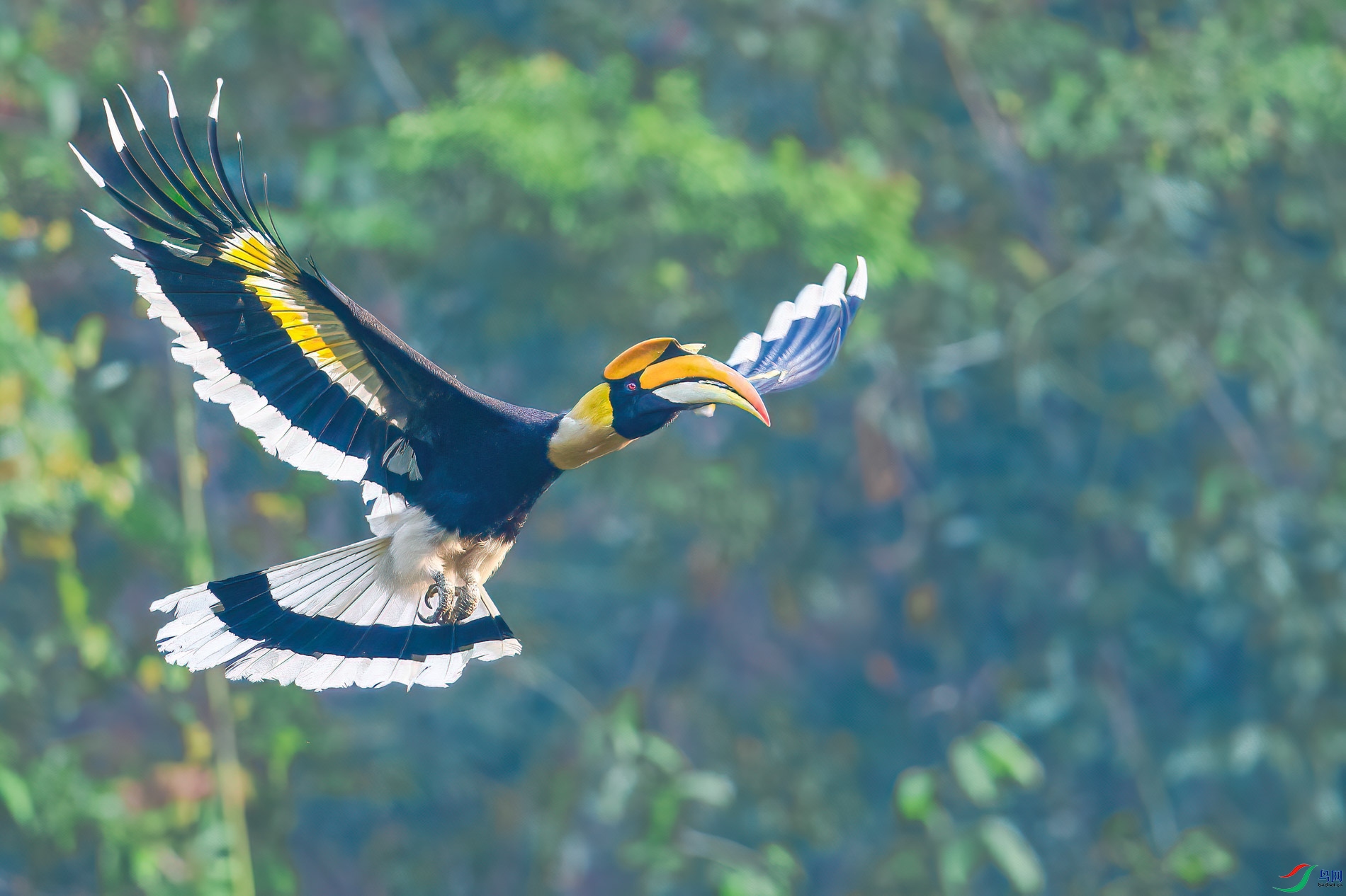 a_71089-1.jpg