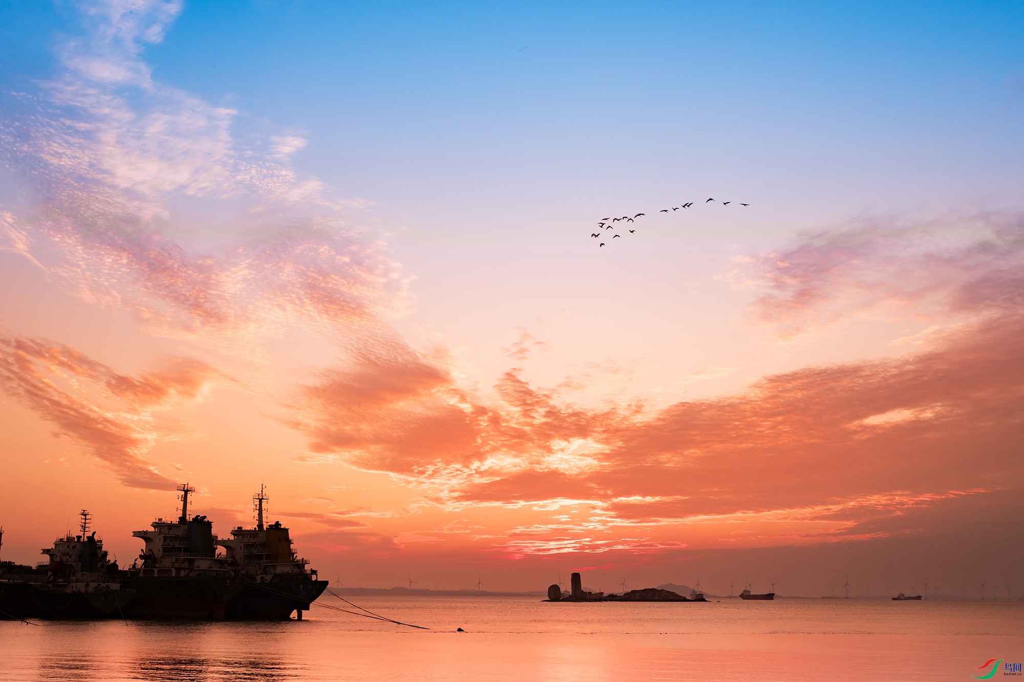 DSCF2184 ���� 3.jpg