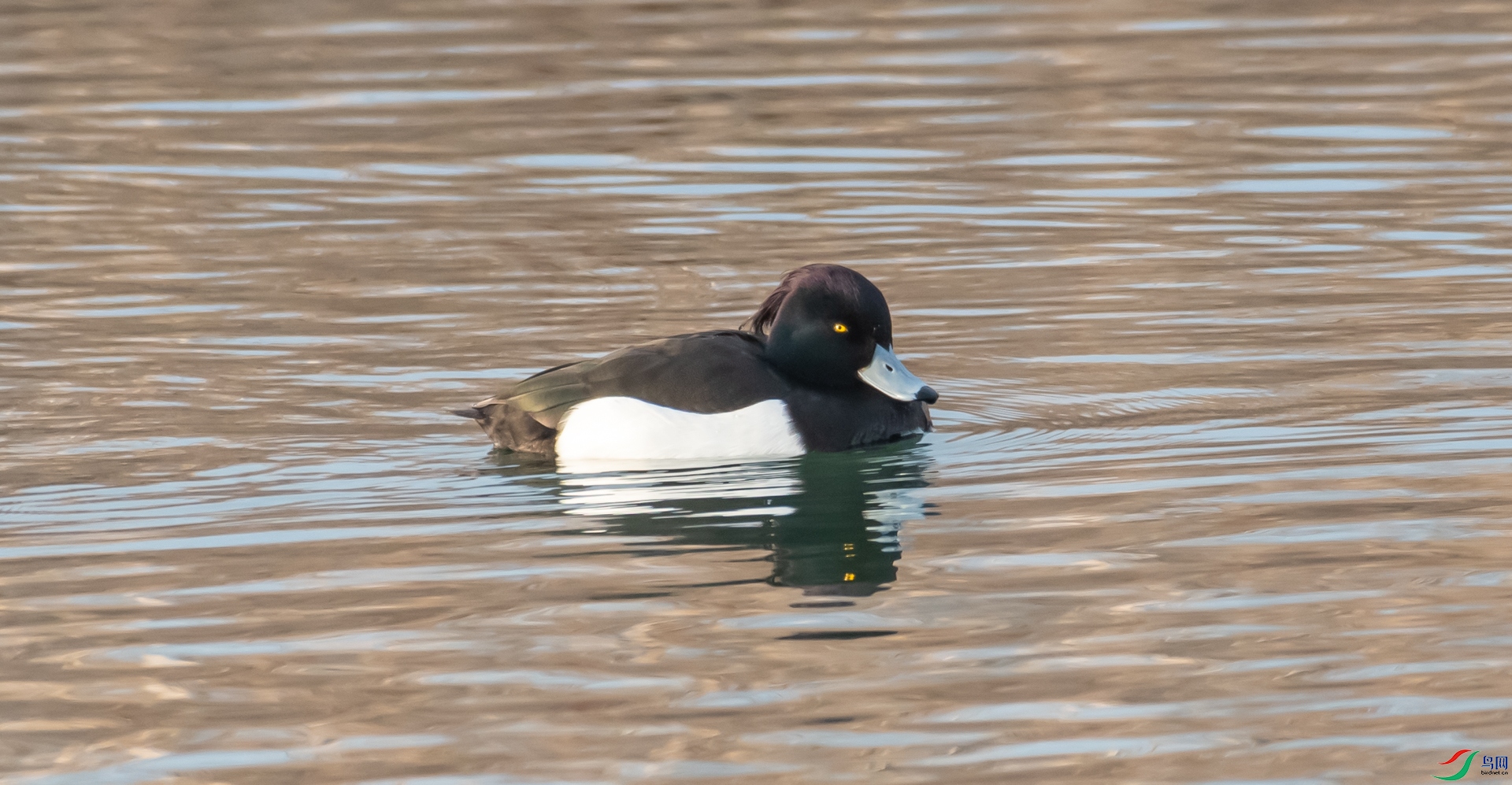 DSC_9181.jpg