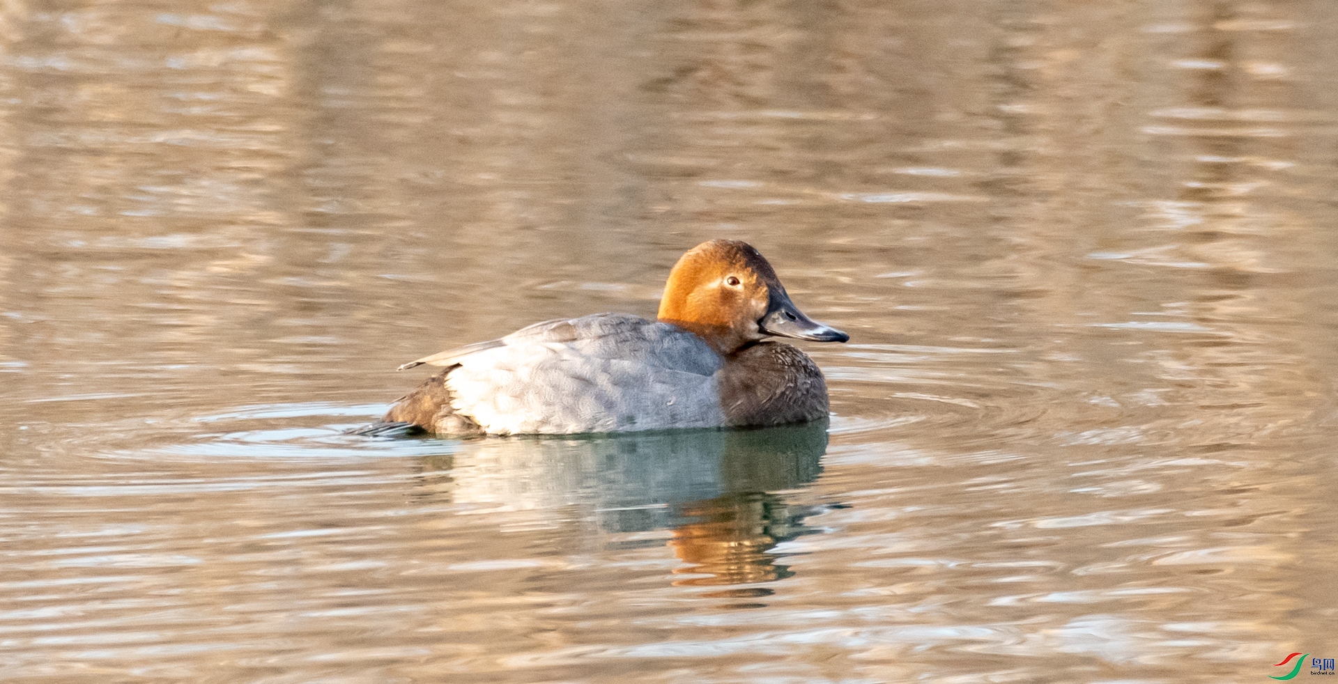 DSC_9121.jpg