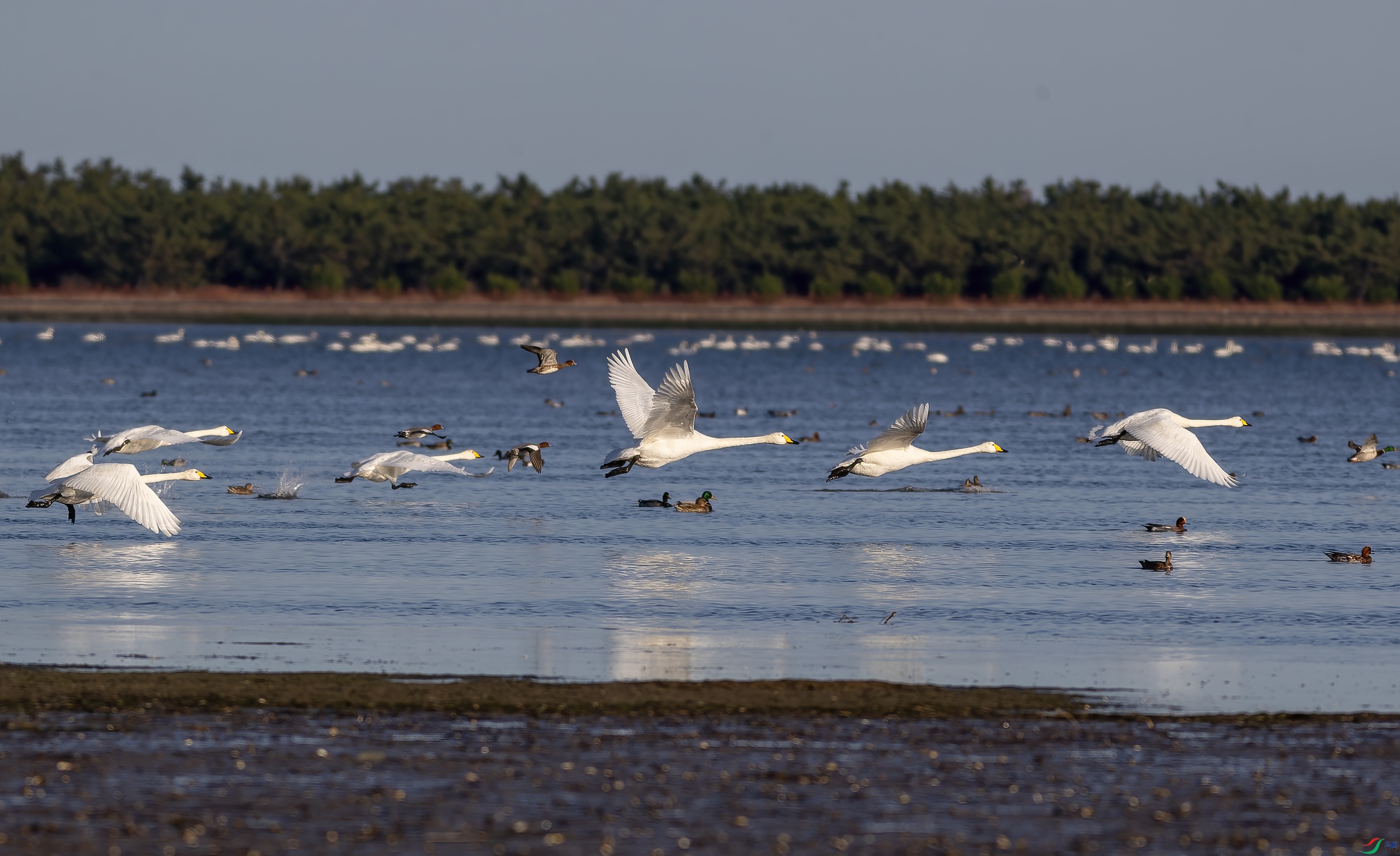 IMG_9108-CR2_DxO_DeepPRIME.jpg