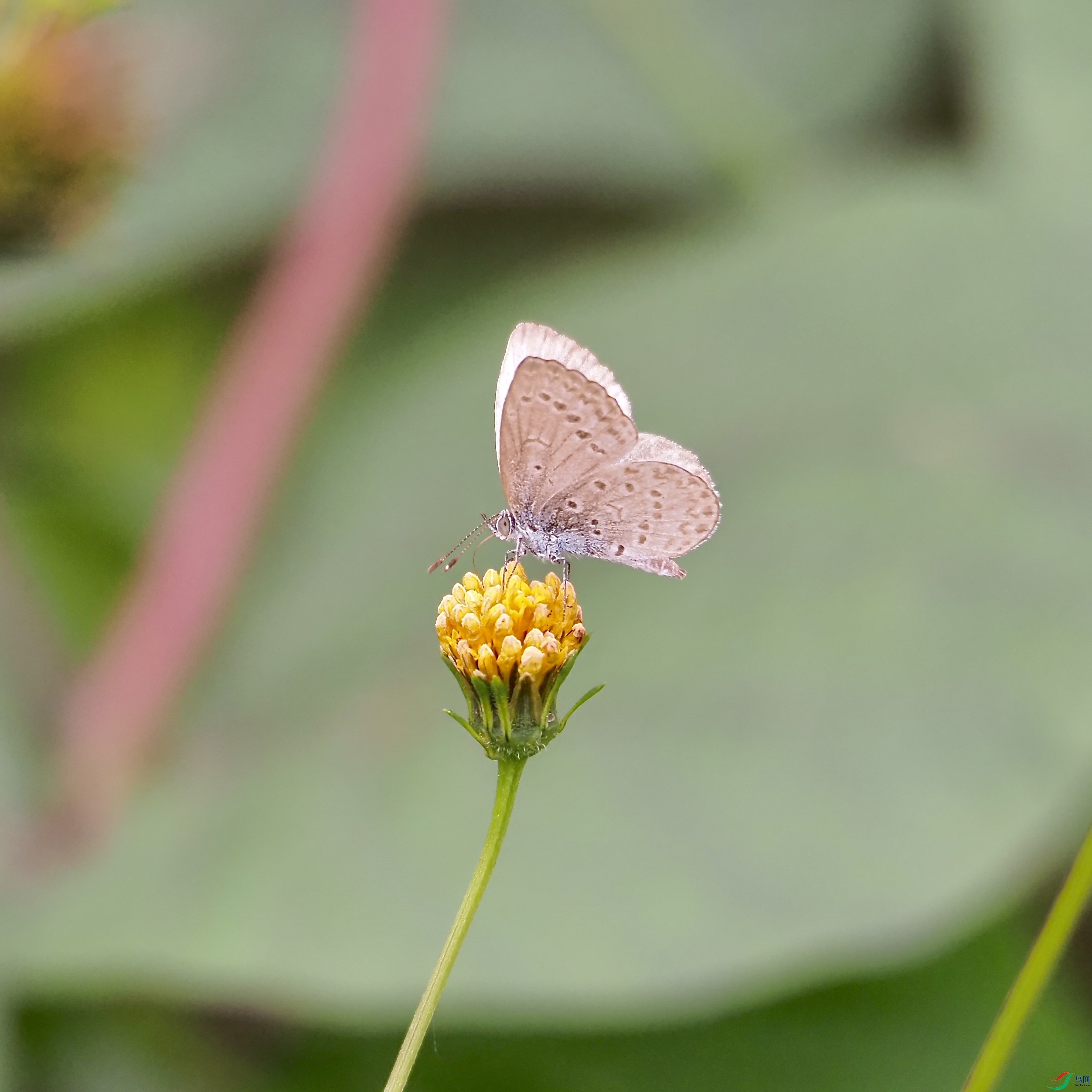HF291585.jpg