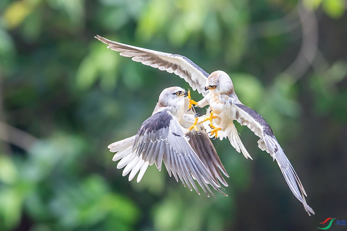 һ������