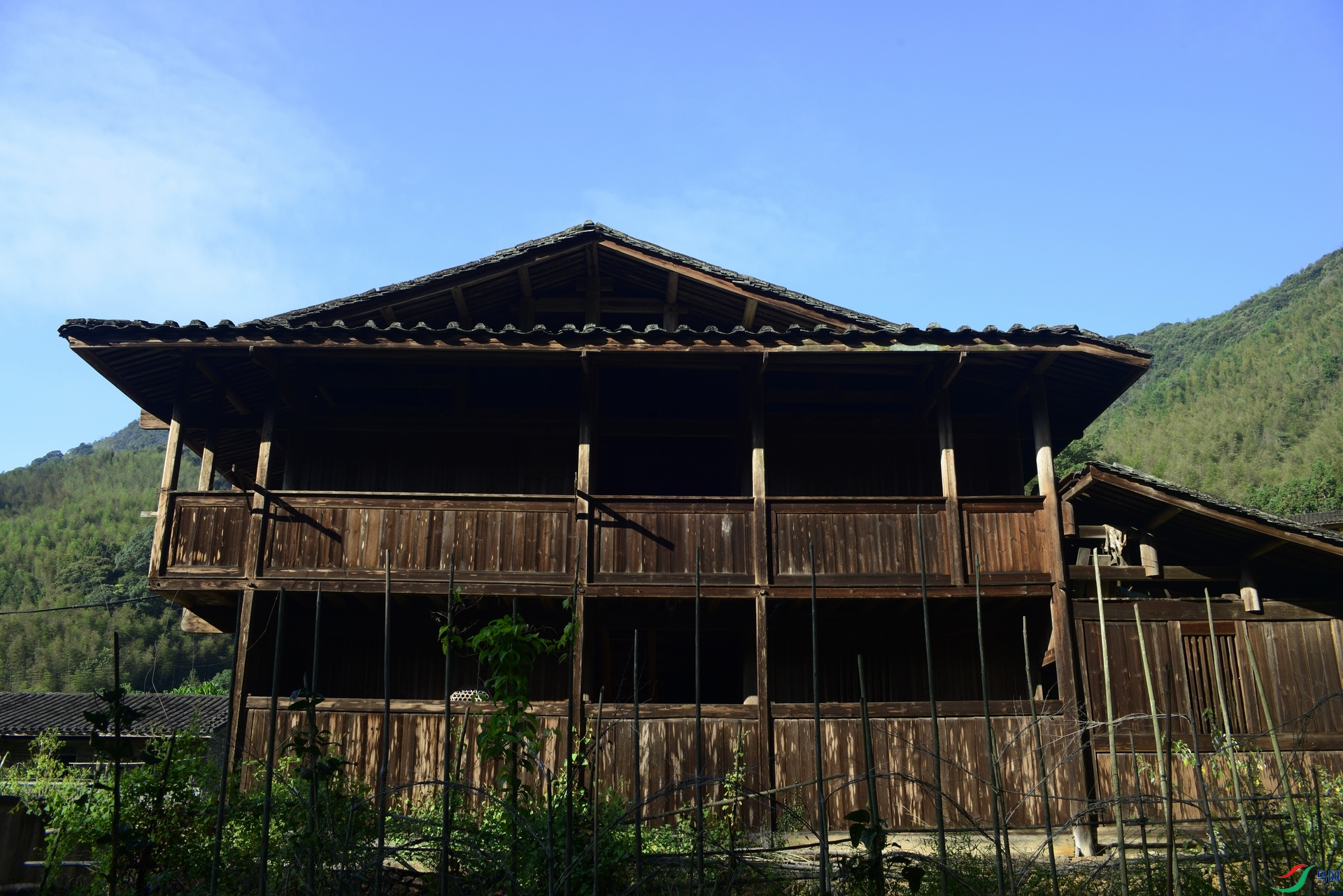 _D809919.jpg