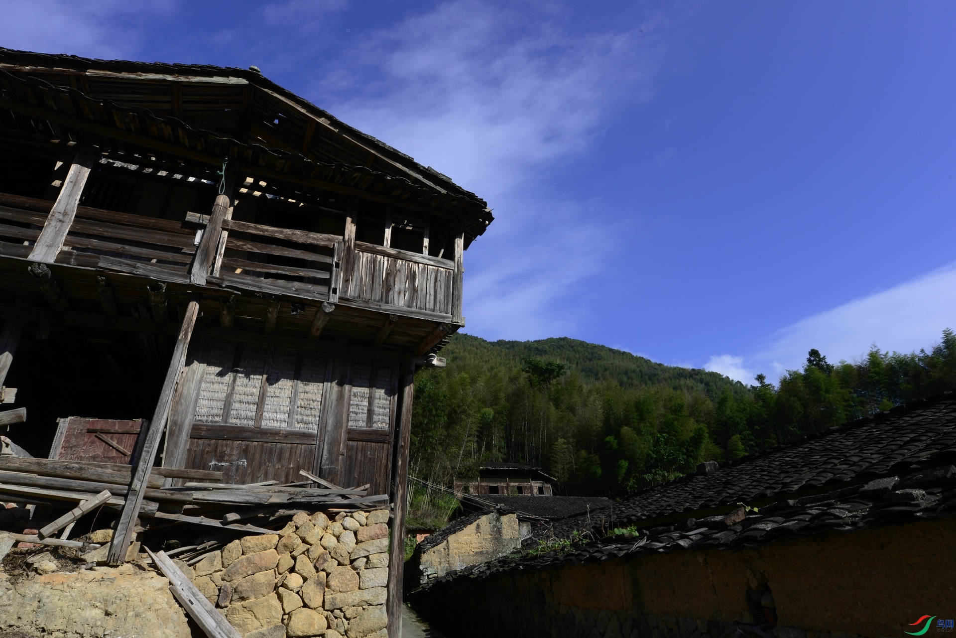 _D809948.jpg