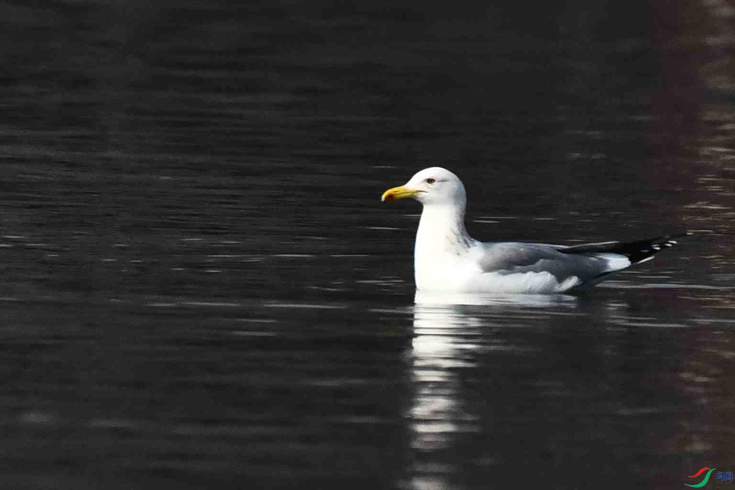 DSC_4819.JPG