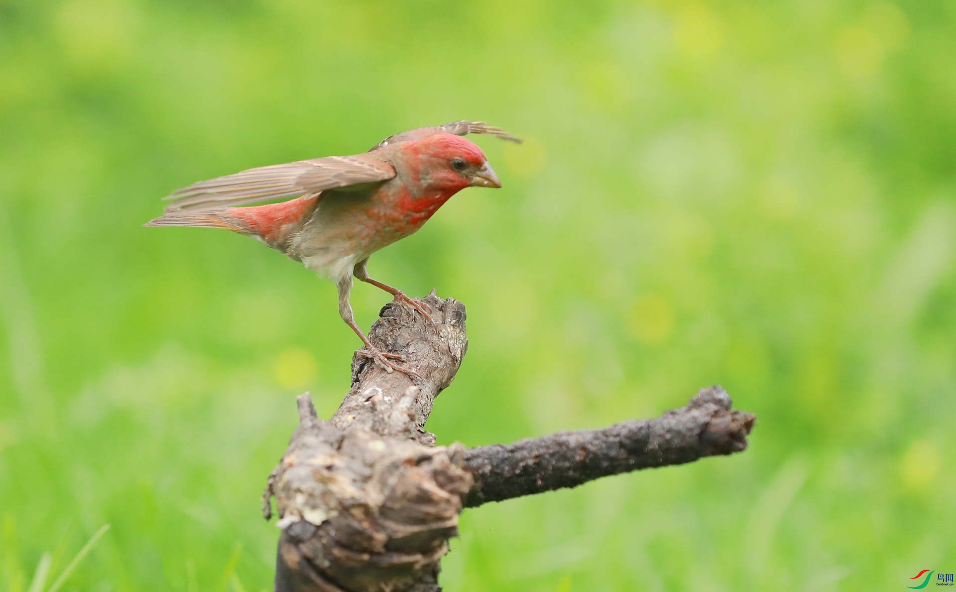 9G8A2193 ����.jpg