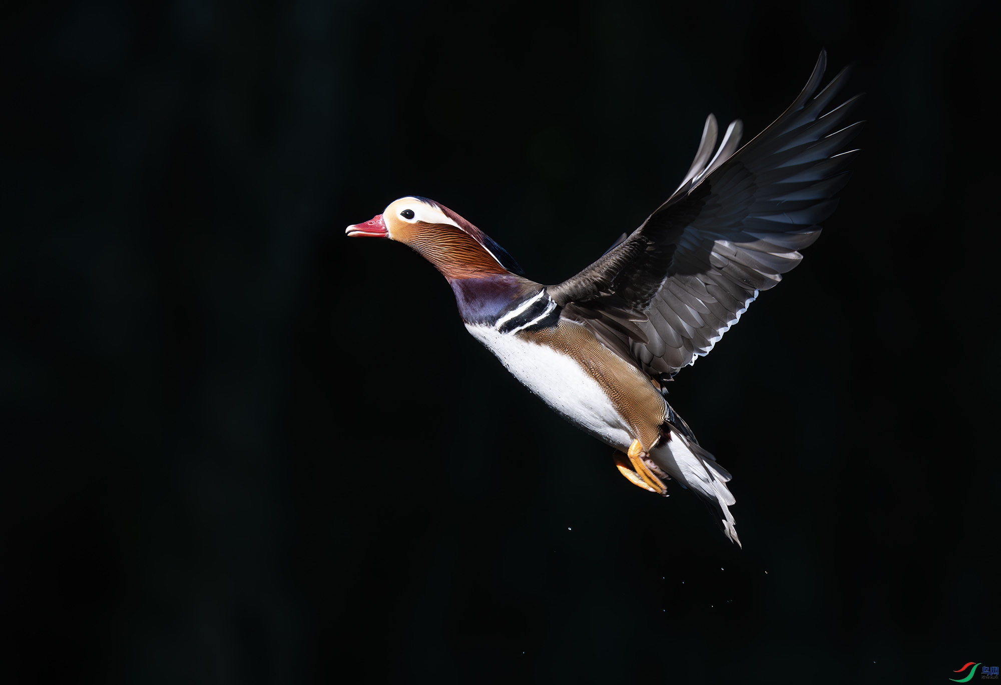 DSC_7391-����ǿ-NR ����.jpg