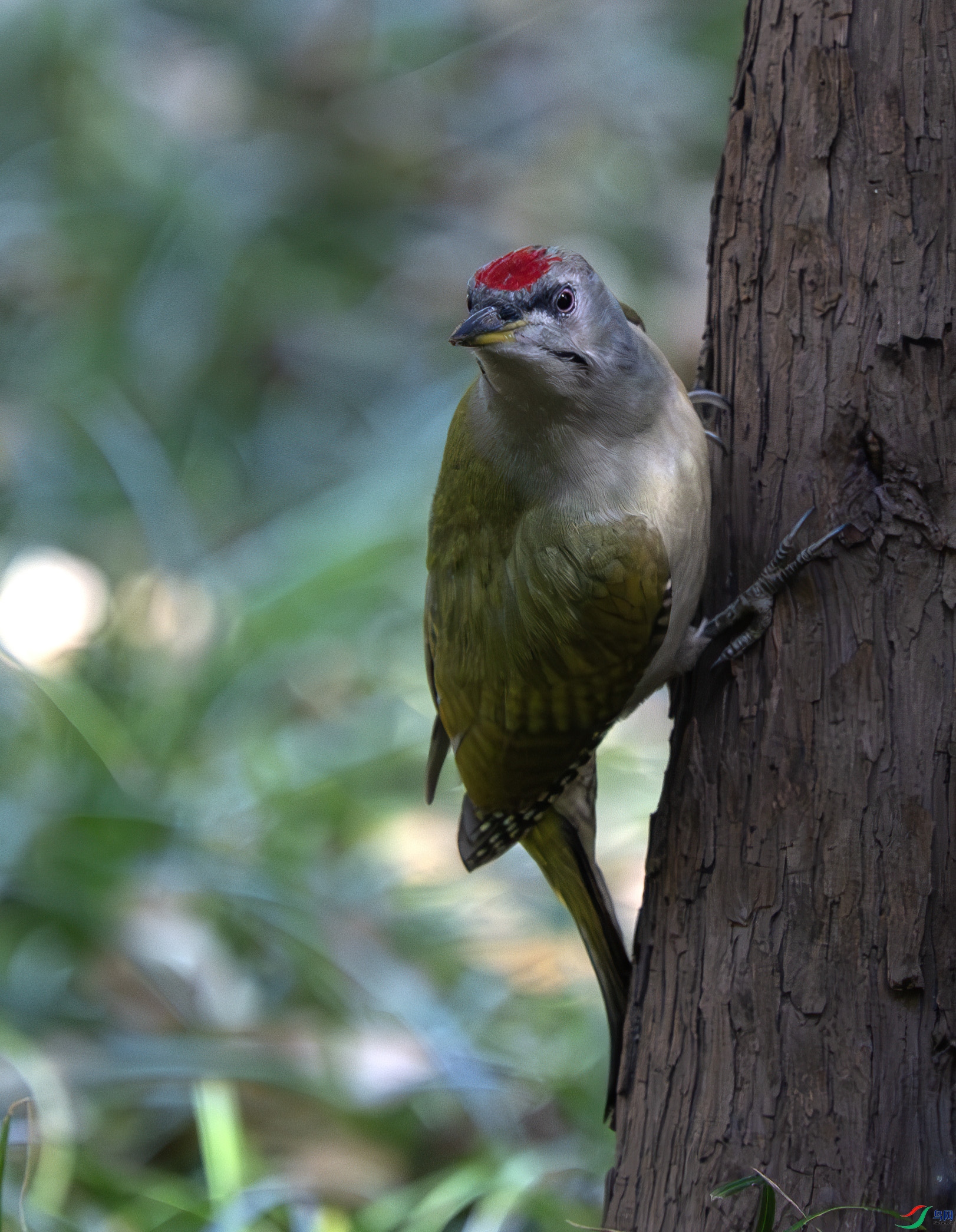 DSC_9559-����ǿ-NR ����.jpg