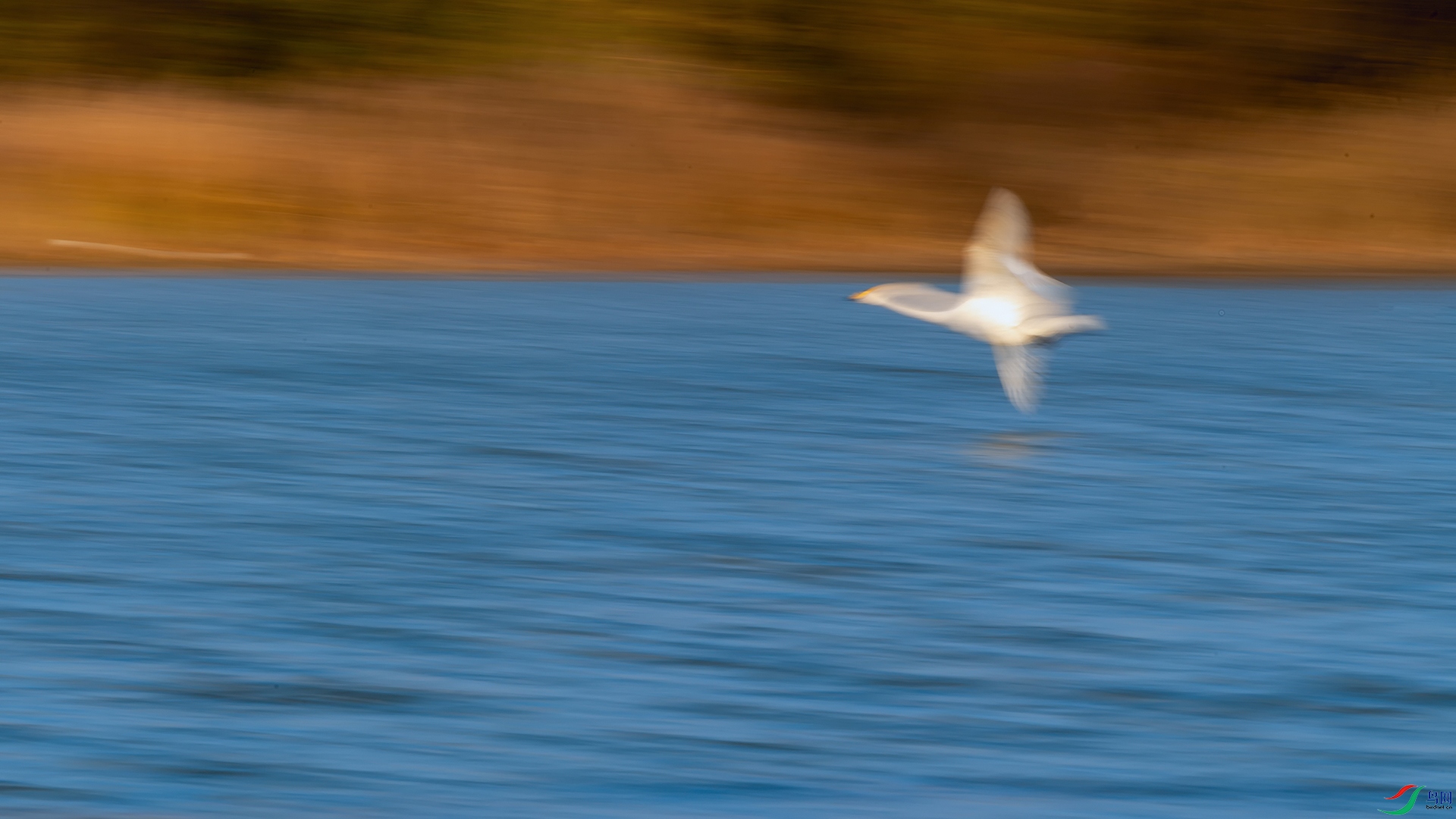 1DSC_5155_DxOa.jpg