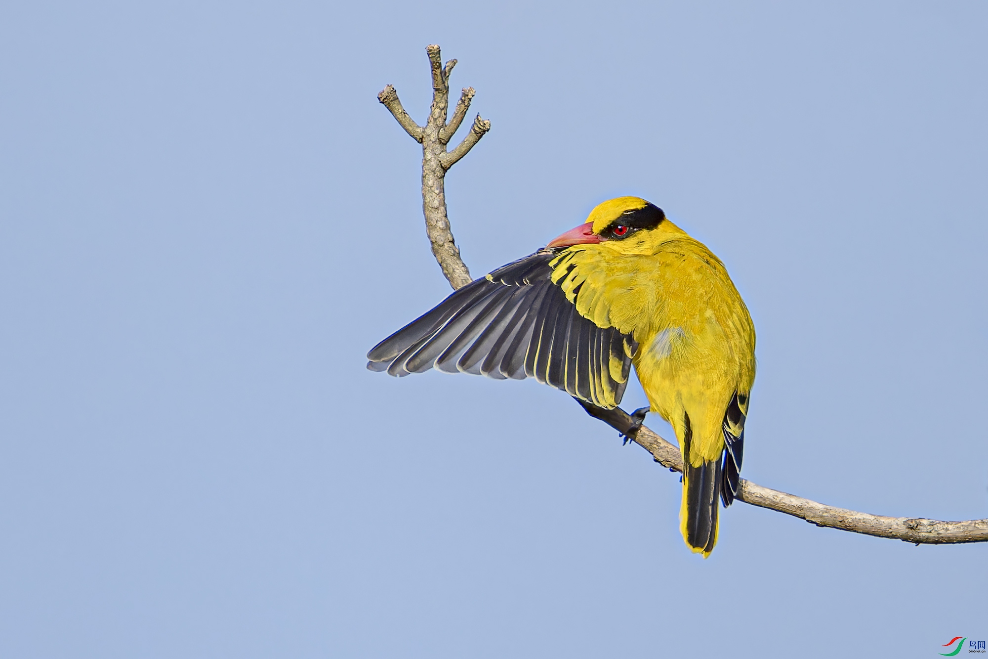 _97A7090-CR3 copy.jpg