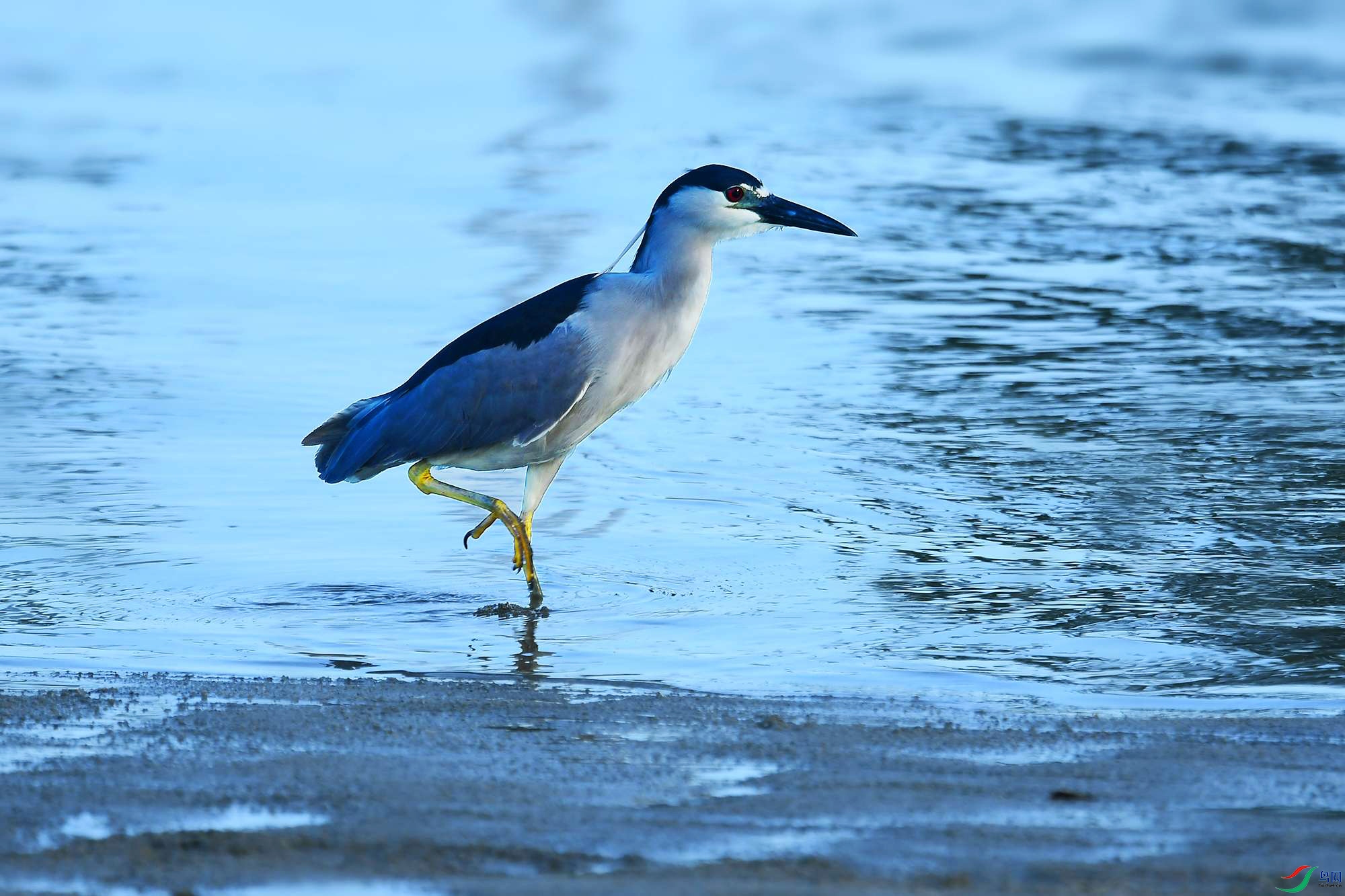 DSC_8451_.jpg