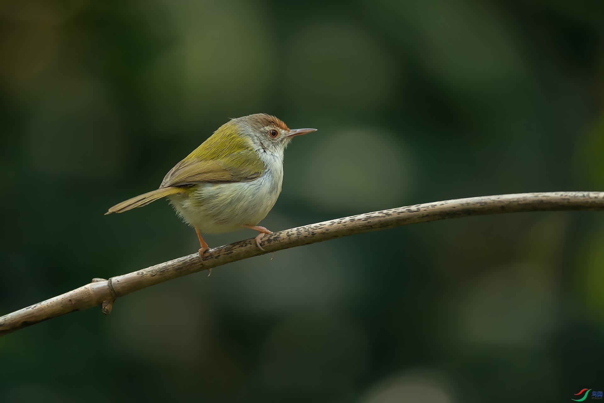 DSC_3458.jpg