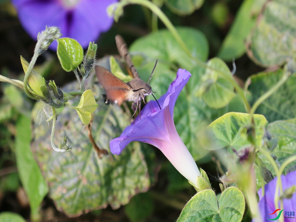 DSC20241031116.jpg