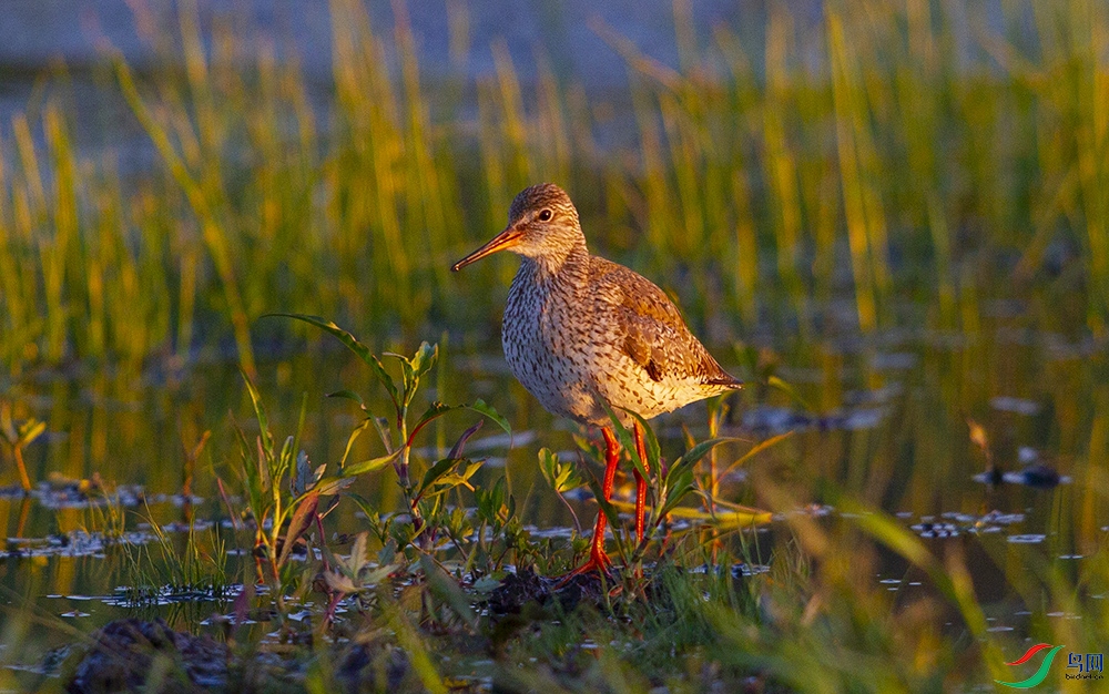 ����� (2).jpg