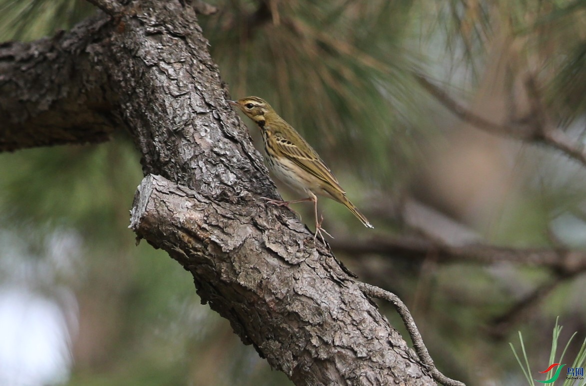 D89P0518.JPG