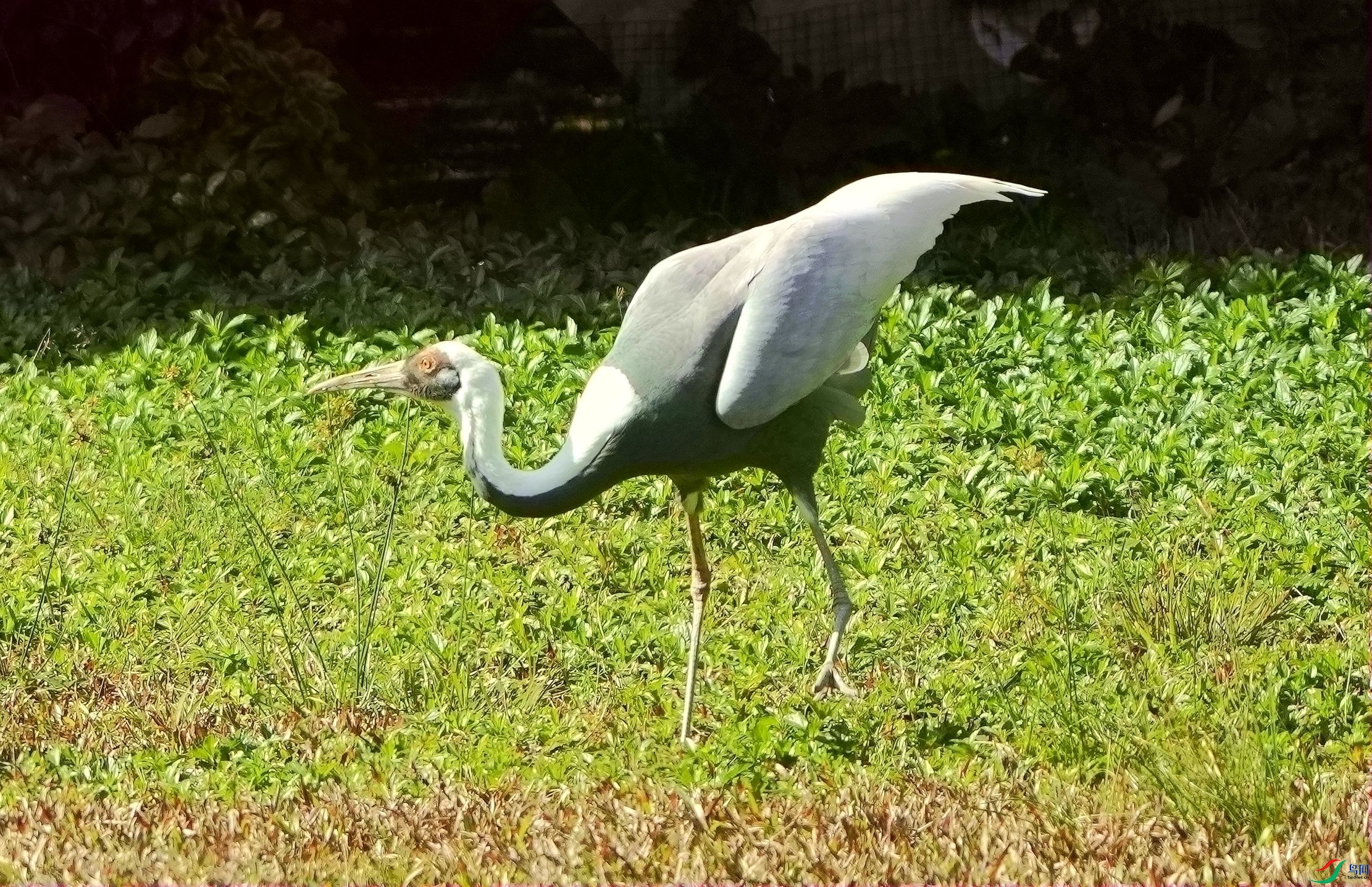 ׼������DSC08372_����.jpg