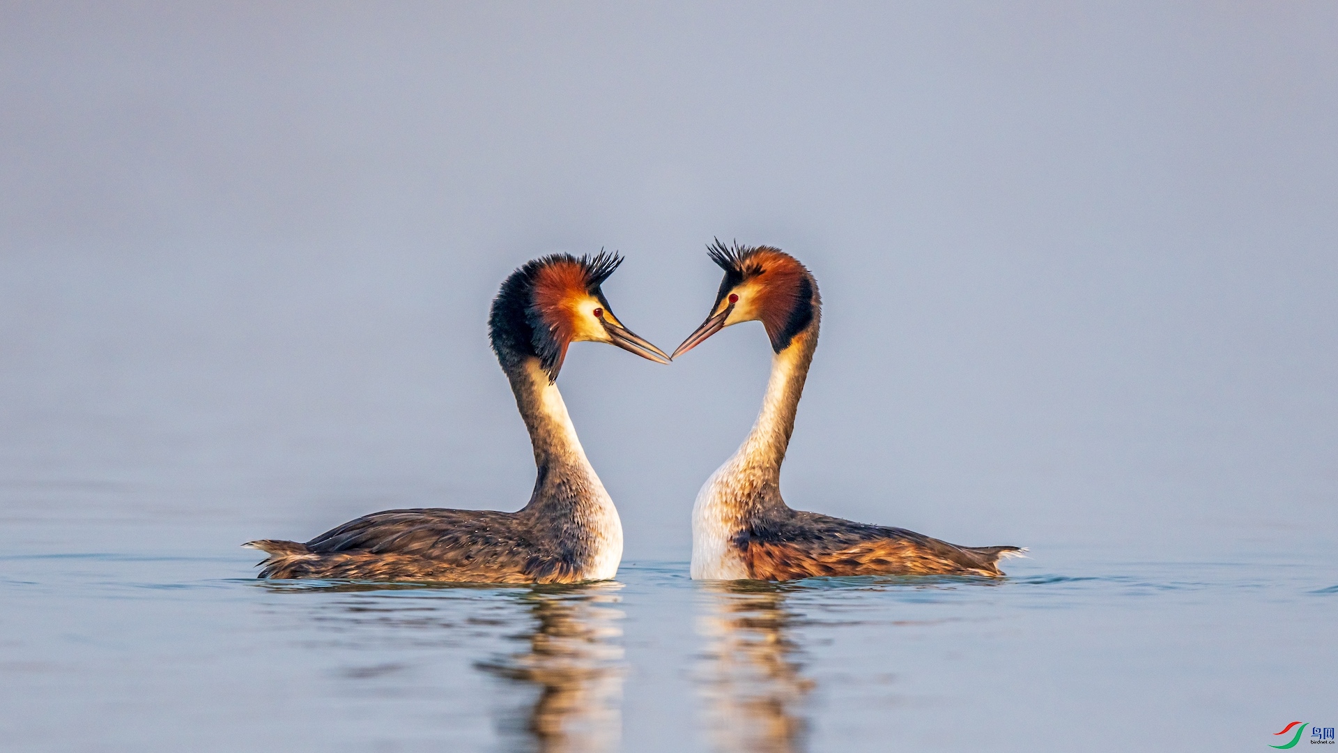 1_XXI4394 ����.jpeg