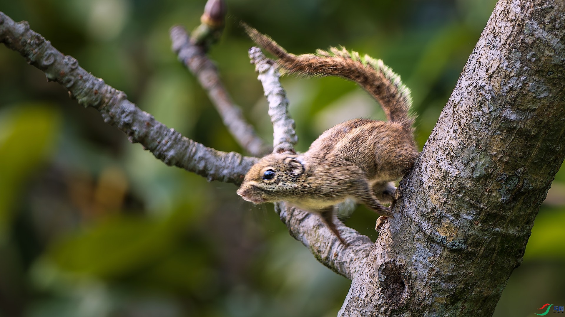 1_XXL5745-����ǿ-NR ����.jpeg