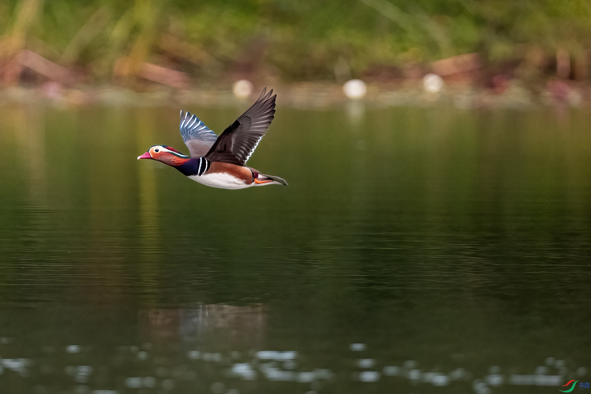 DSC_7108-2 ����.jpg