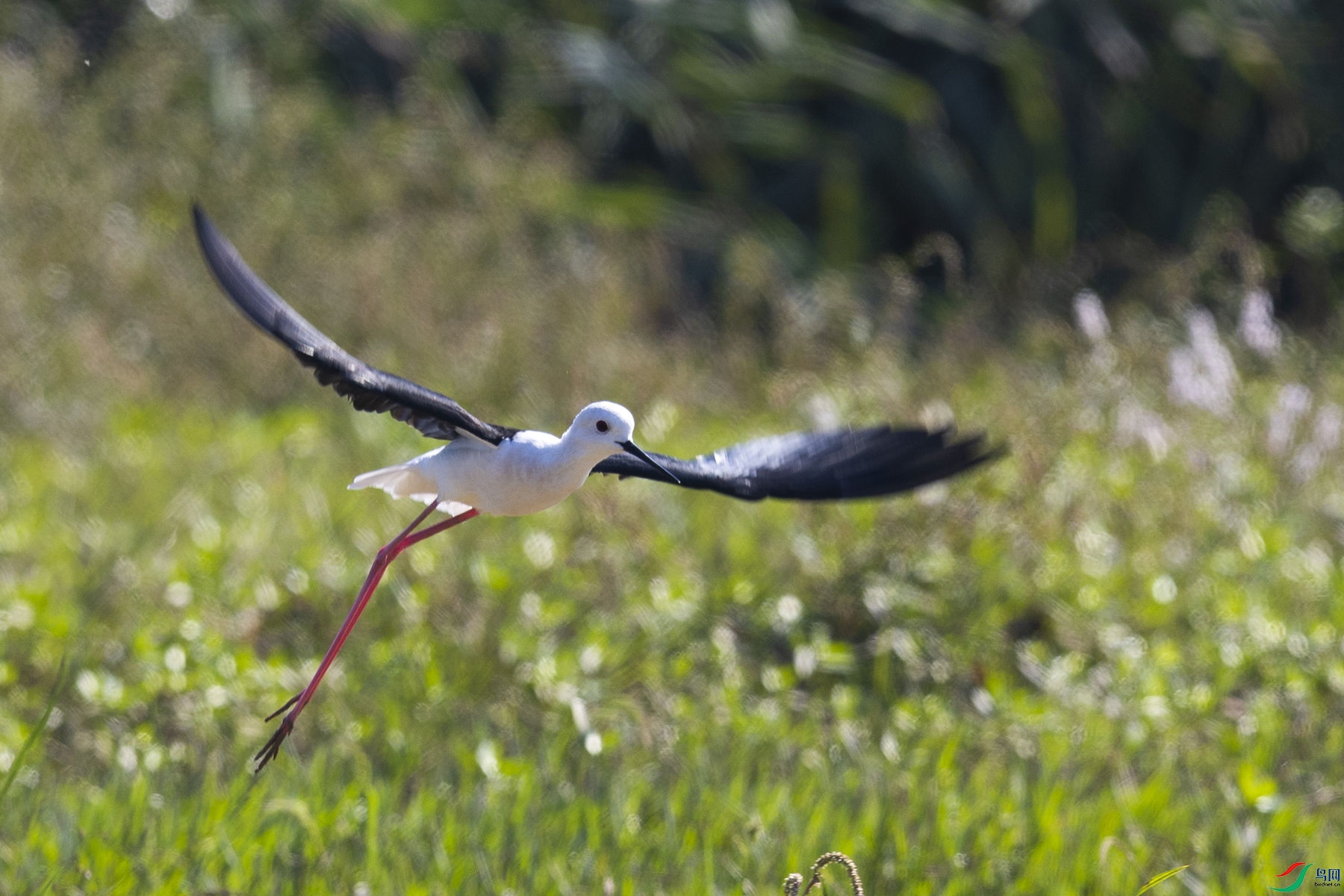 ������02