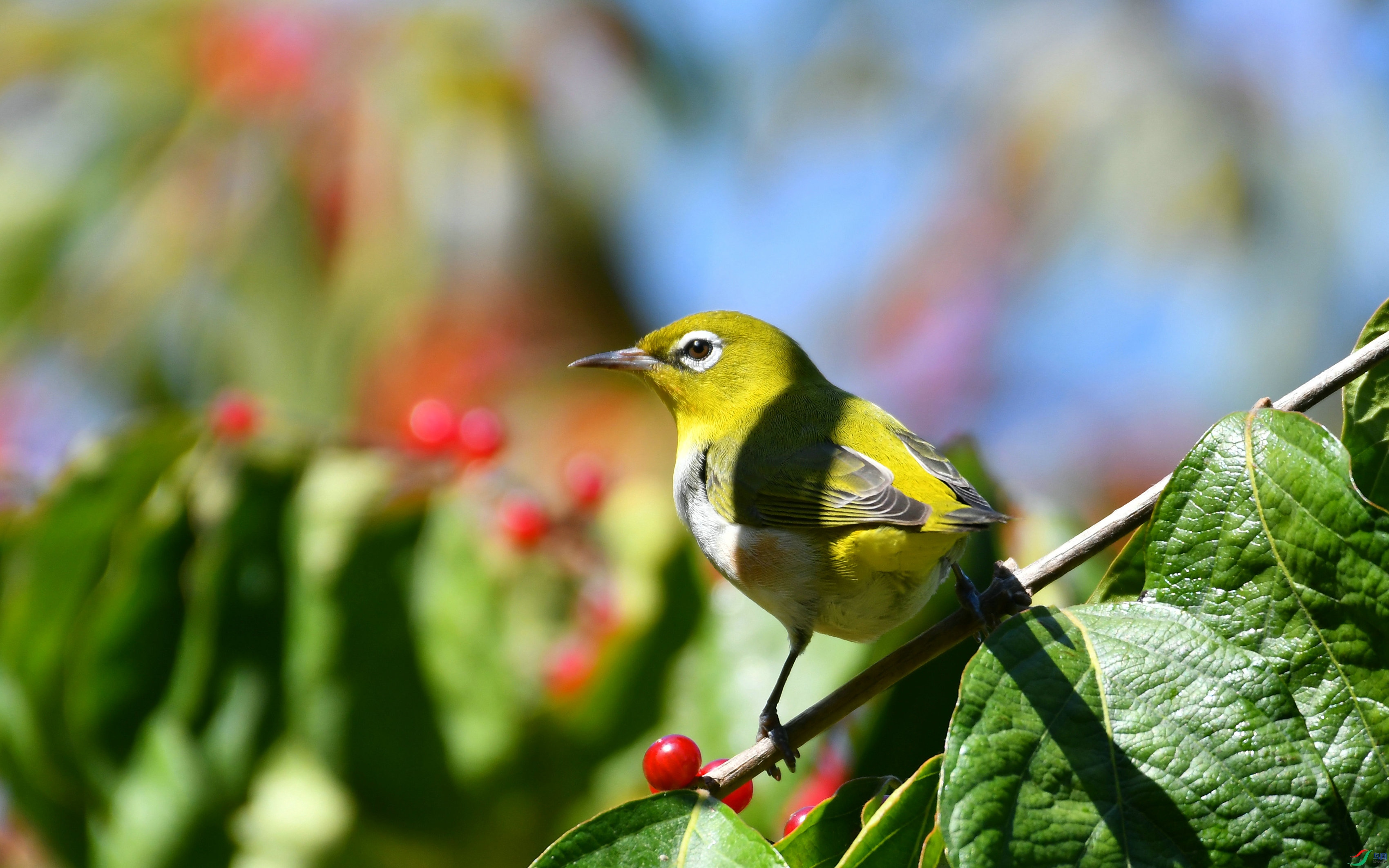 DSC_5714.JPG